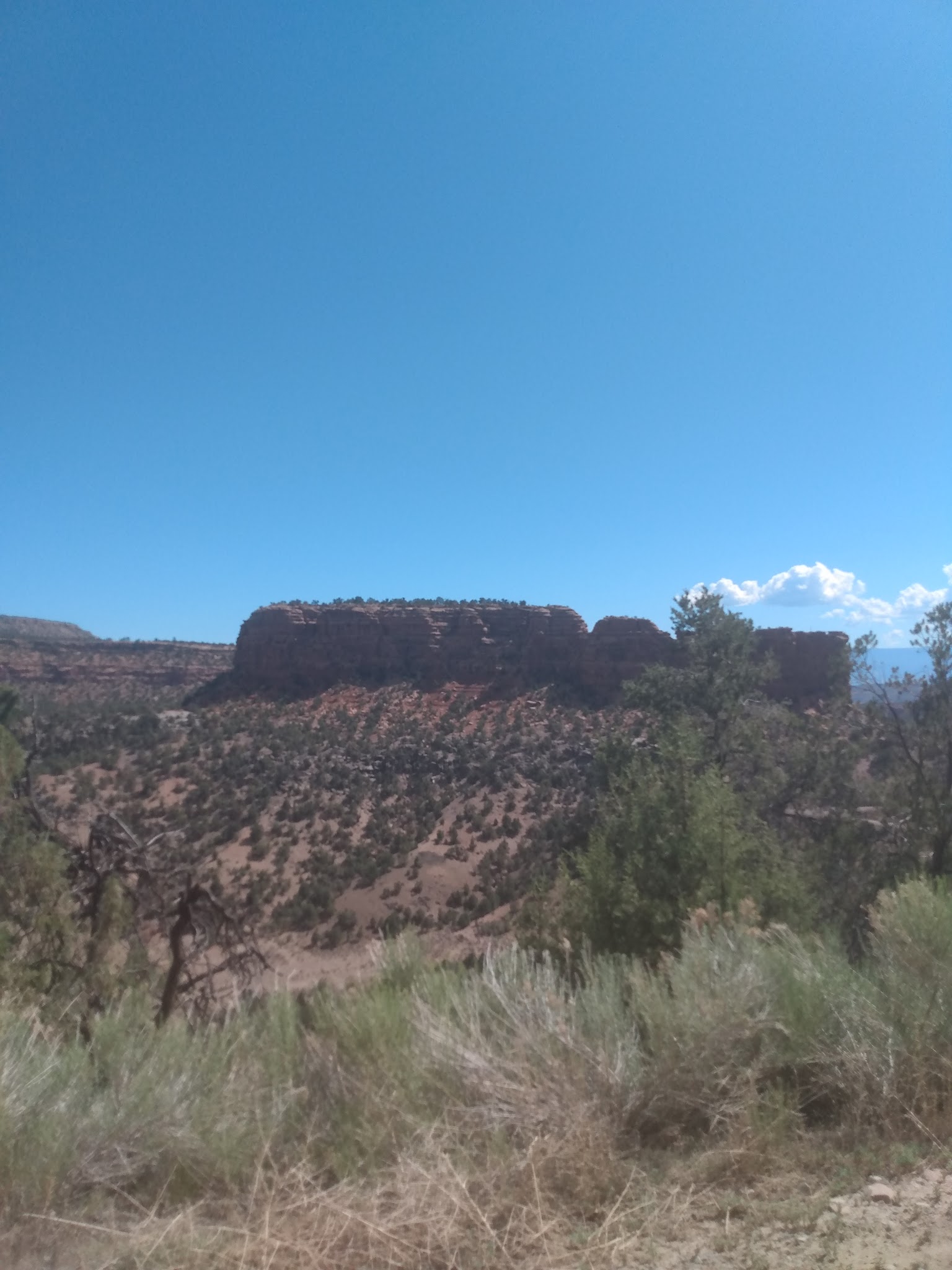 Divide Forks Campground - Grand Valley Rd