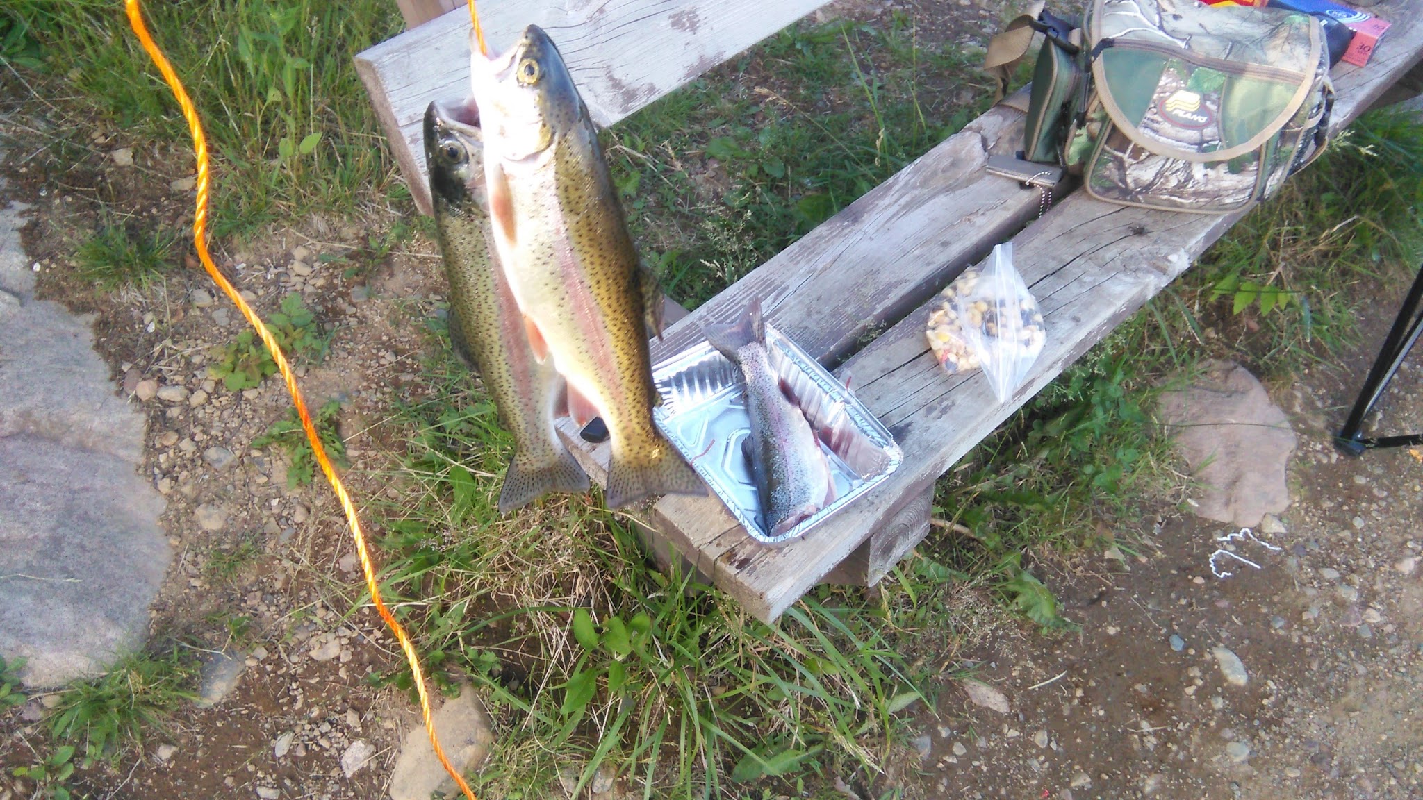 Dumbell Lake Backcountry Campsites