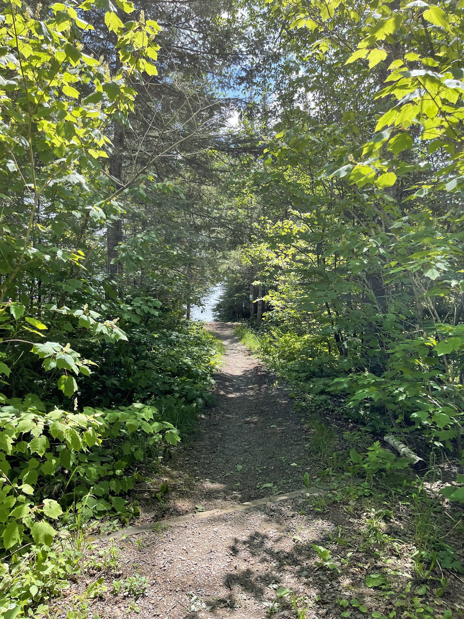 Dumbell Lake Backcountry Campsites