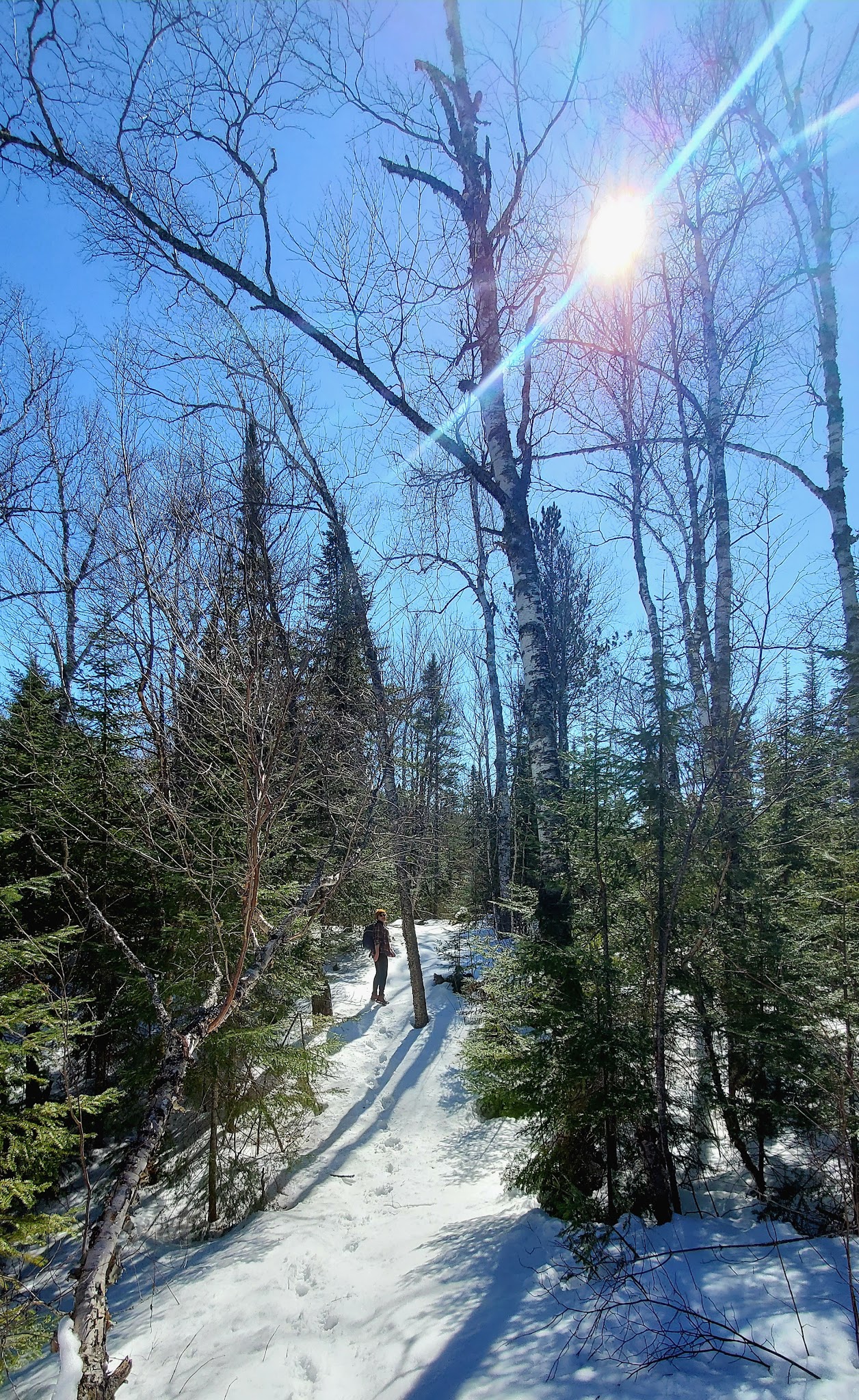 Dumbell Lake Backcountry Campsites
