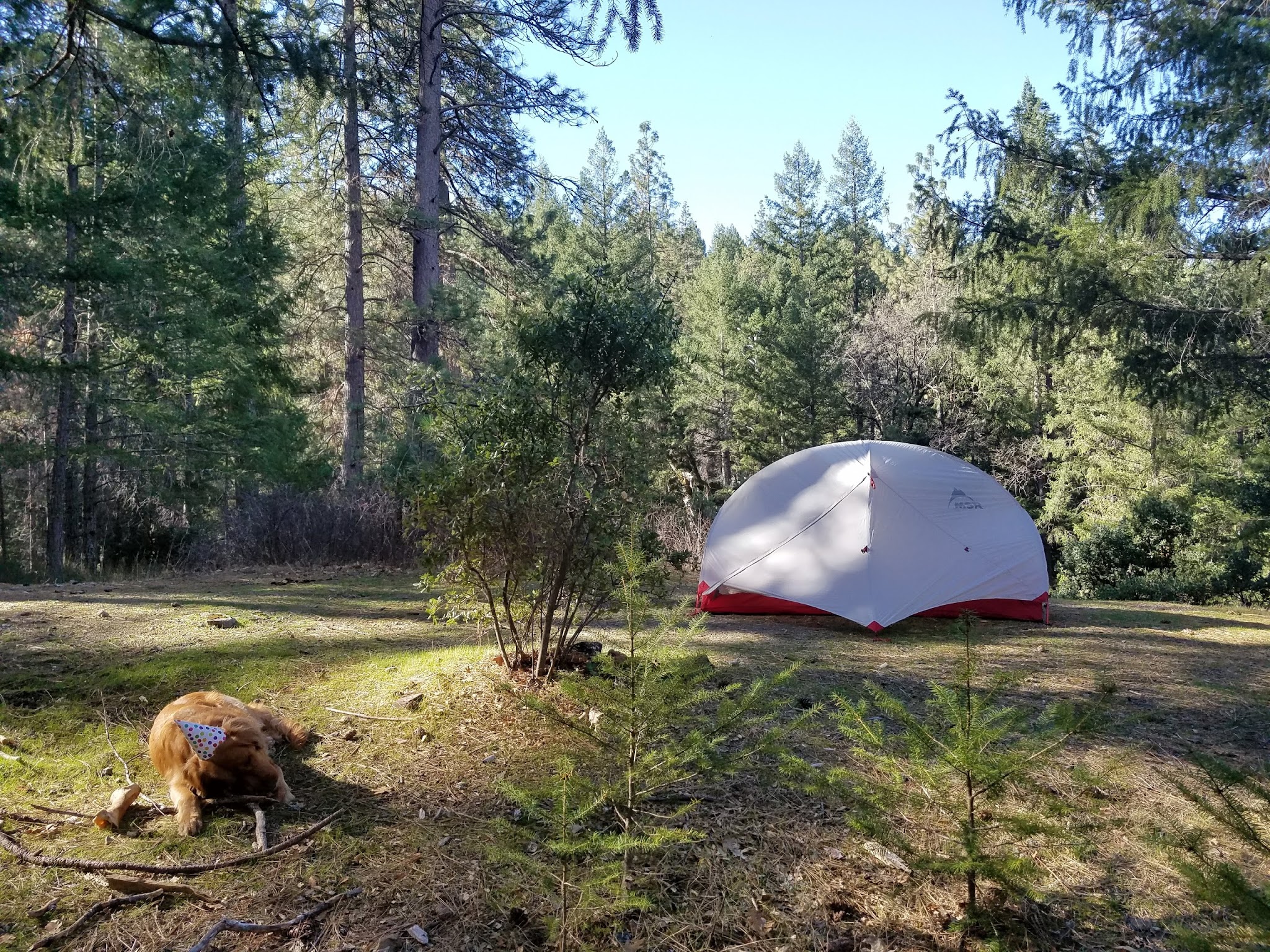 Dixie Glade Campground