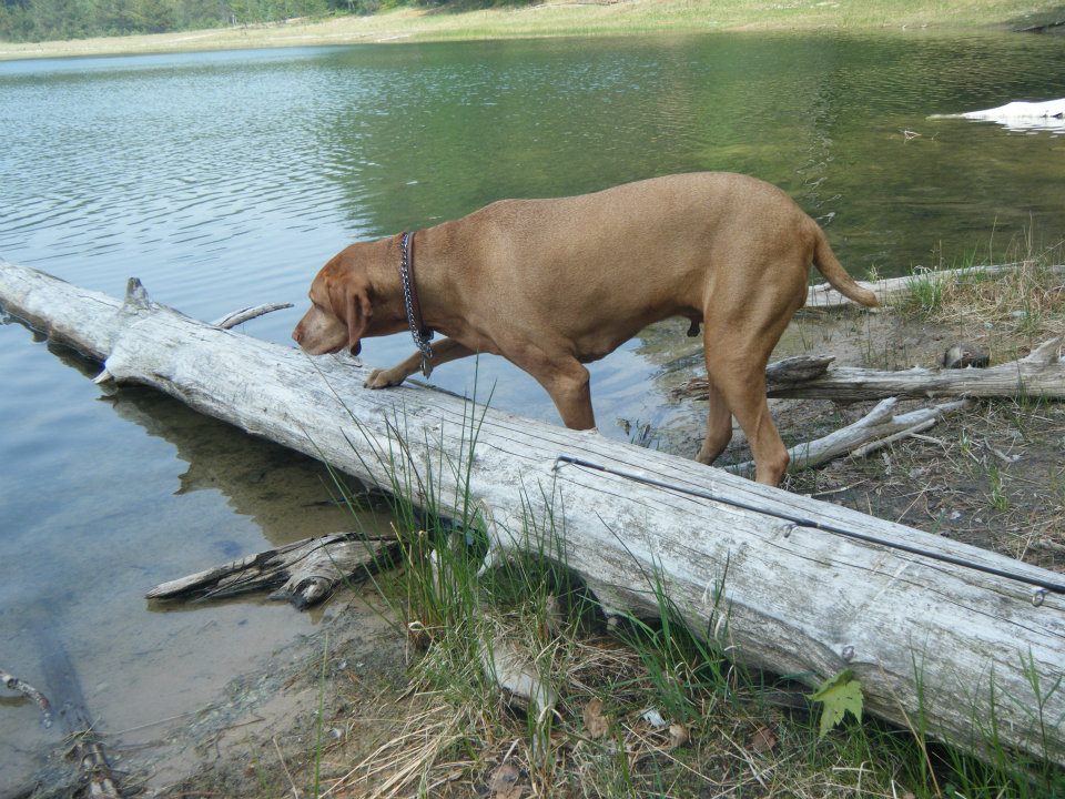 Holland Lake State Forest Campground