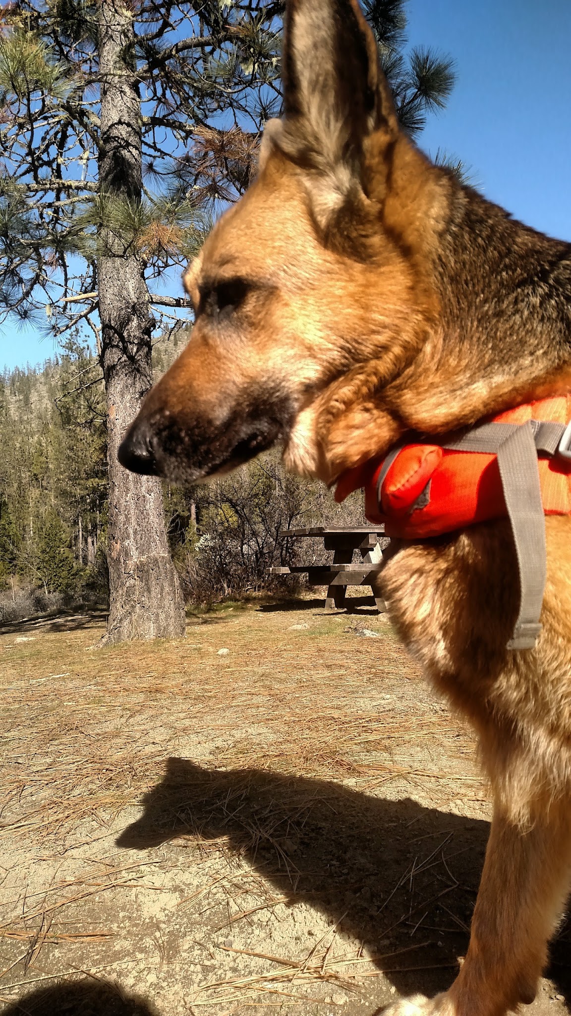 Josephine Campground