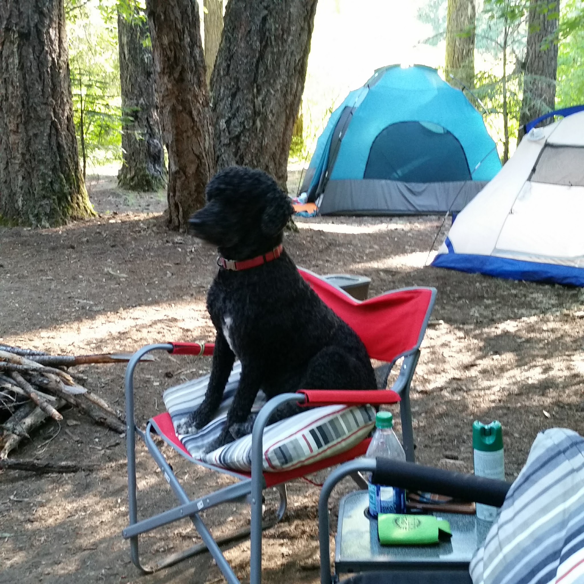Natural Bridge Campground