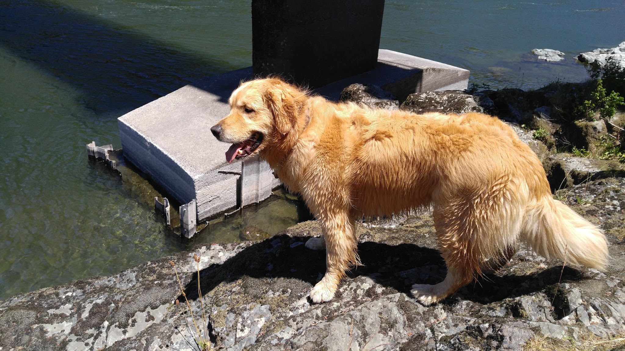 Lobster Creek Campground