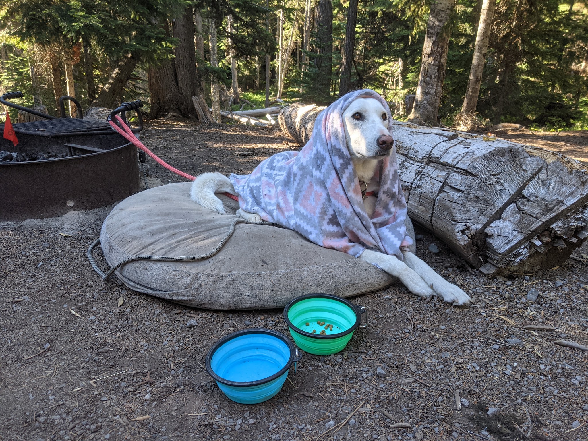 Fifteenmile Campground