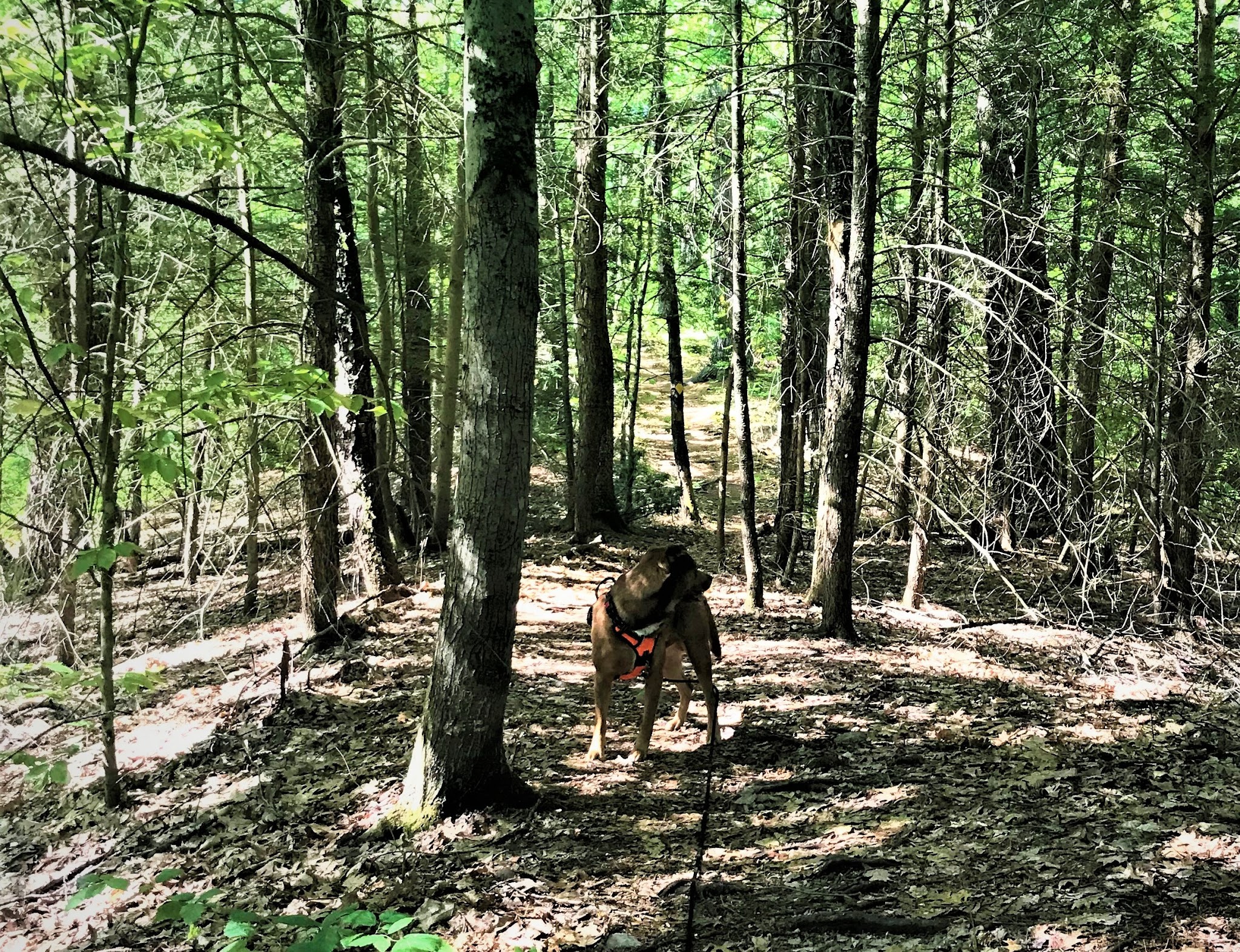 Pearl Hill State Park