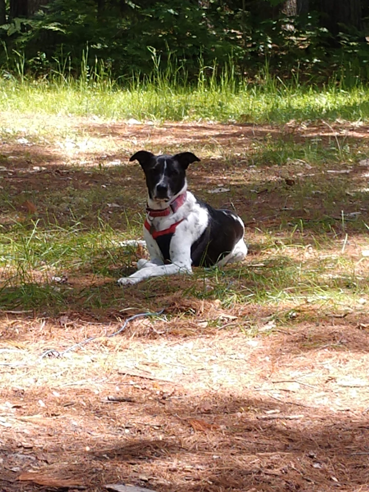 Pretty Lake State Forest Campground