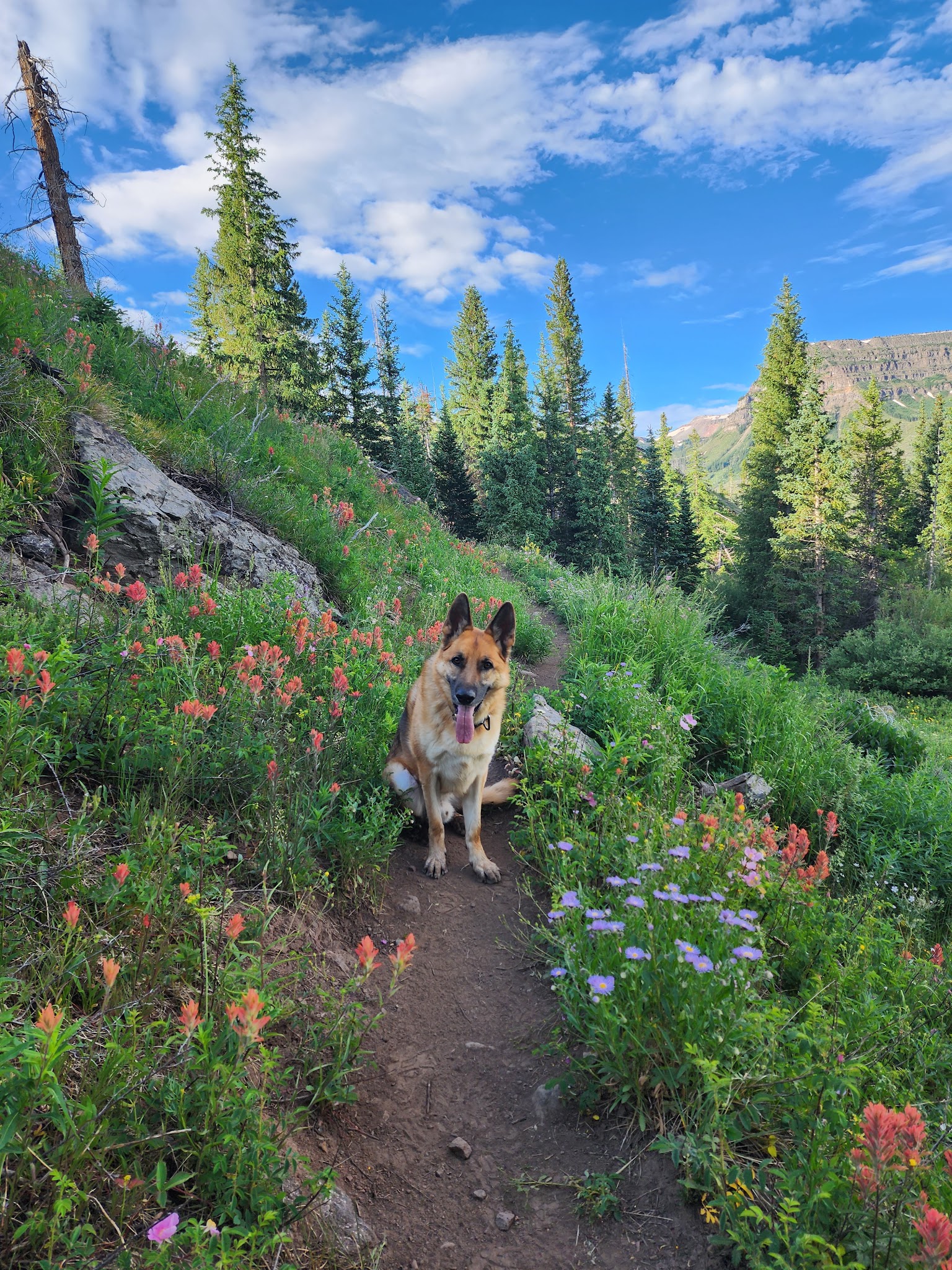 Trappers Lake / Cutthroat Campground