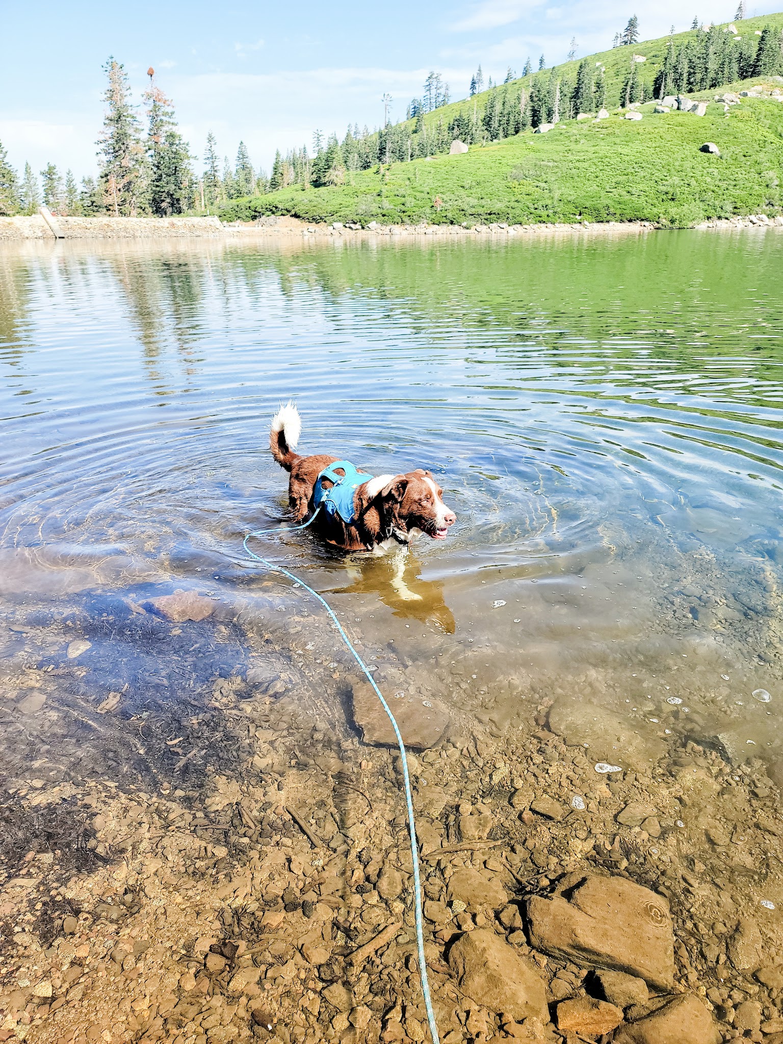 Carr Lake Campground