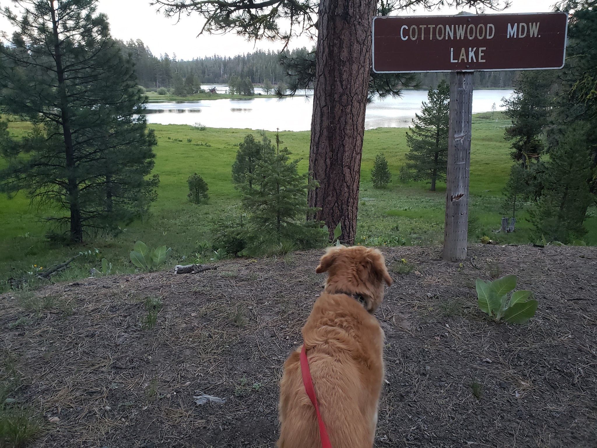 Cottonwood Recreation Area Campground