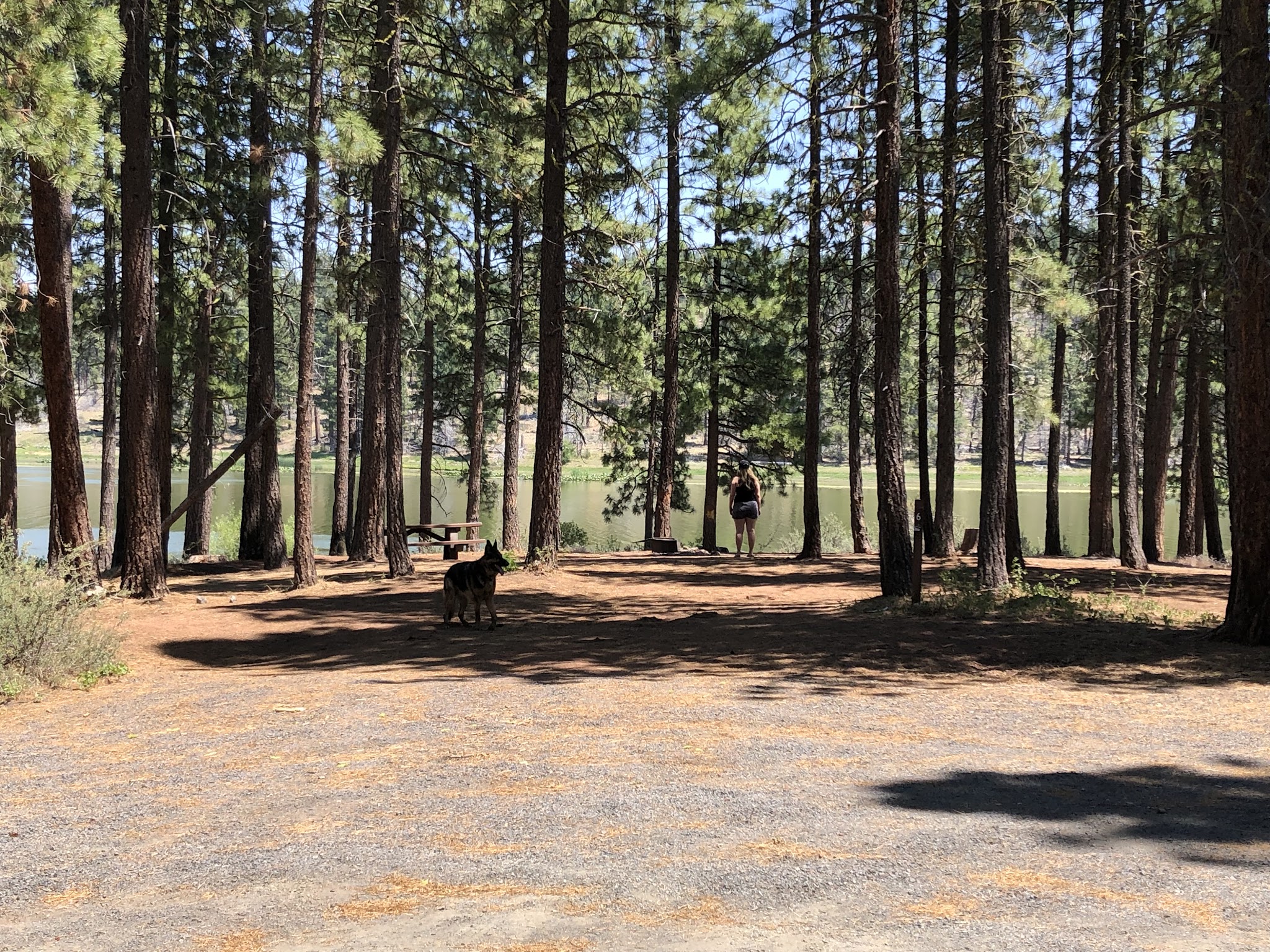 Dog Lake Campground/Boating Site/Picnic Site