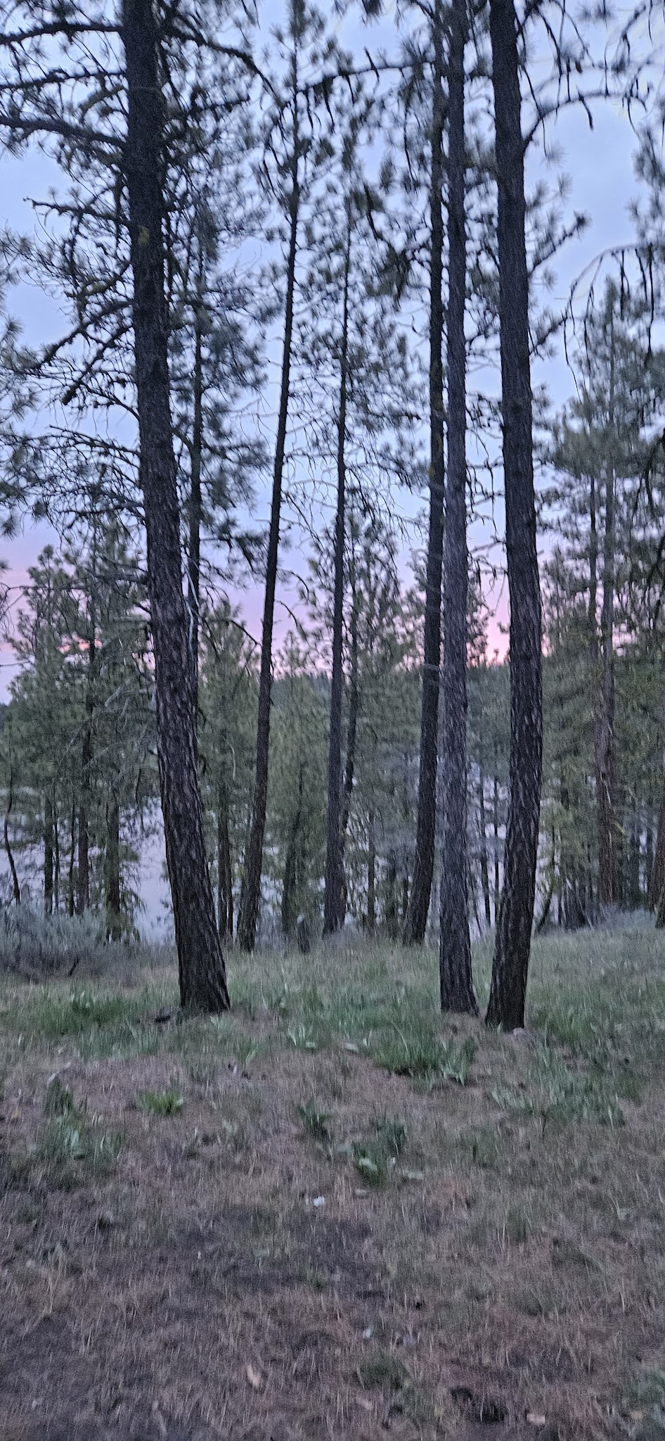 Dog Lake Campground/Boating Site/Picnic Site