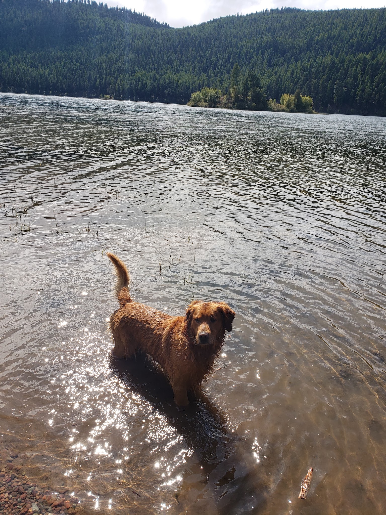 Salmon Lake State Park