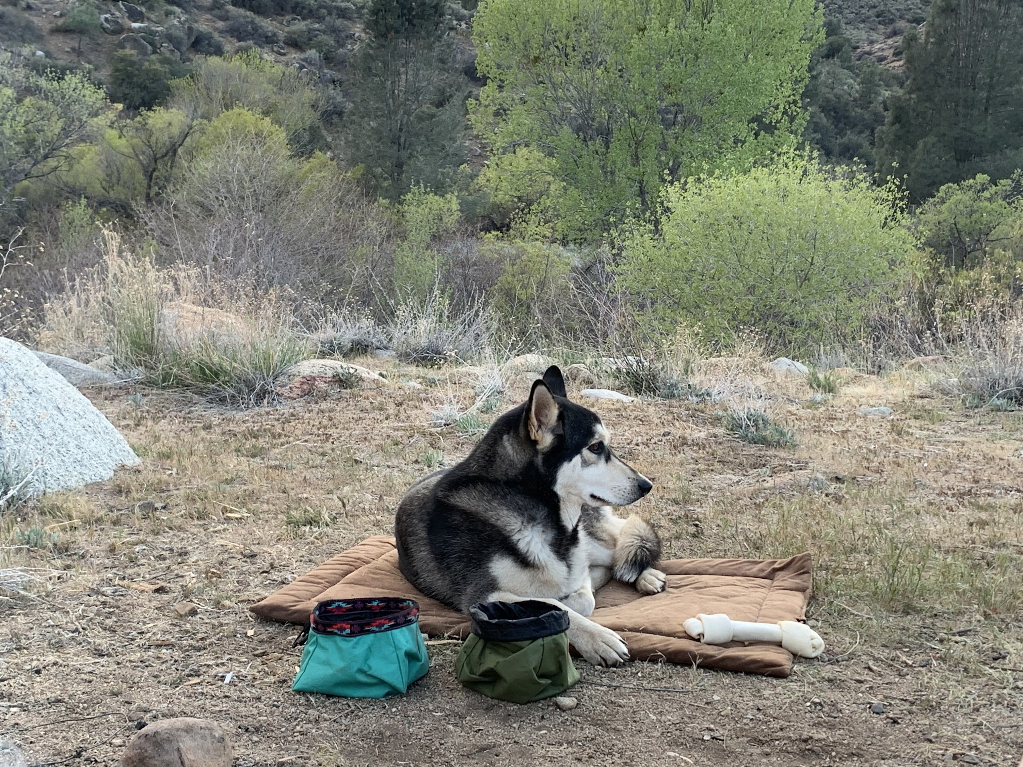 Corral Creek Dispersed Camping