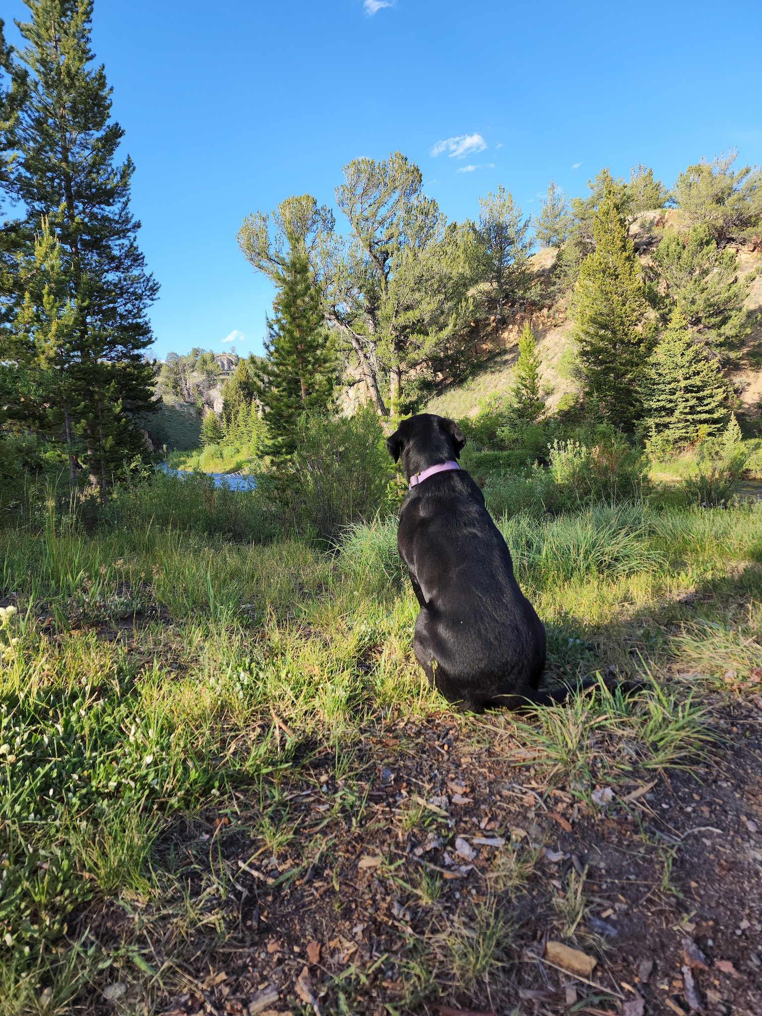 Horse Creek Campground