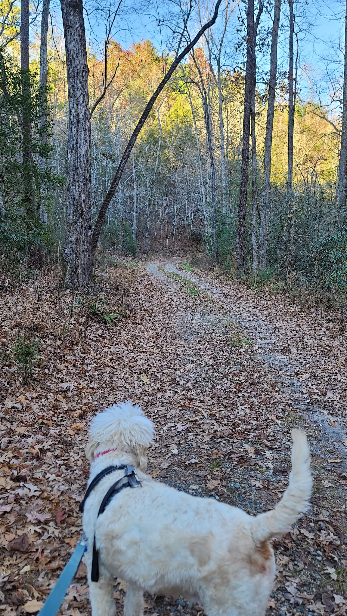 Boggs Creek Recreation Area