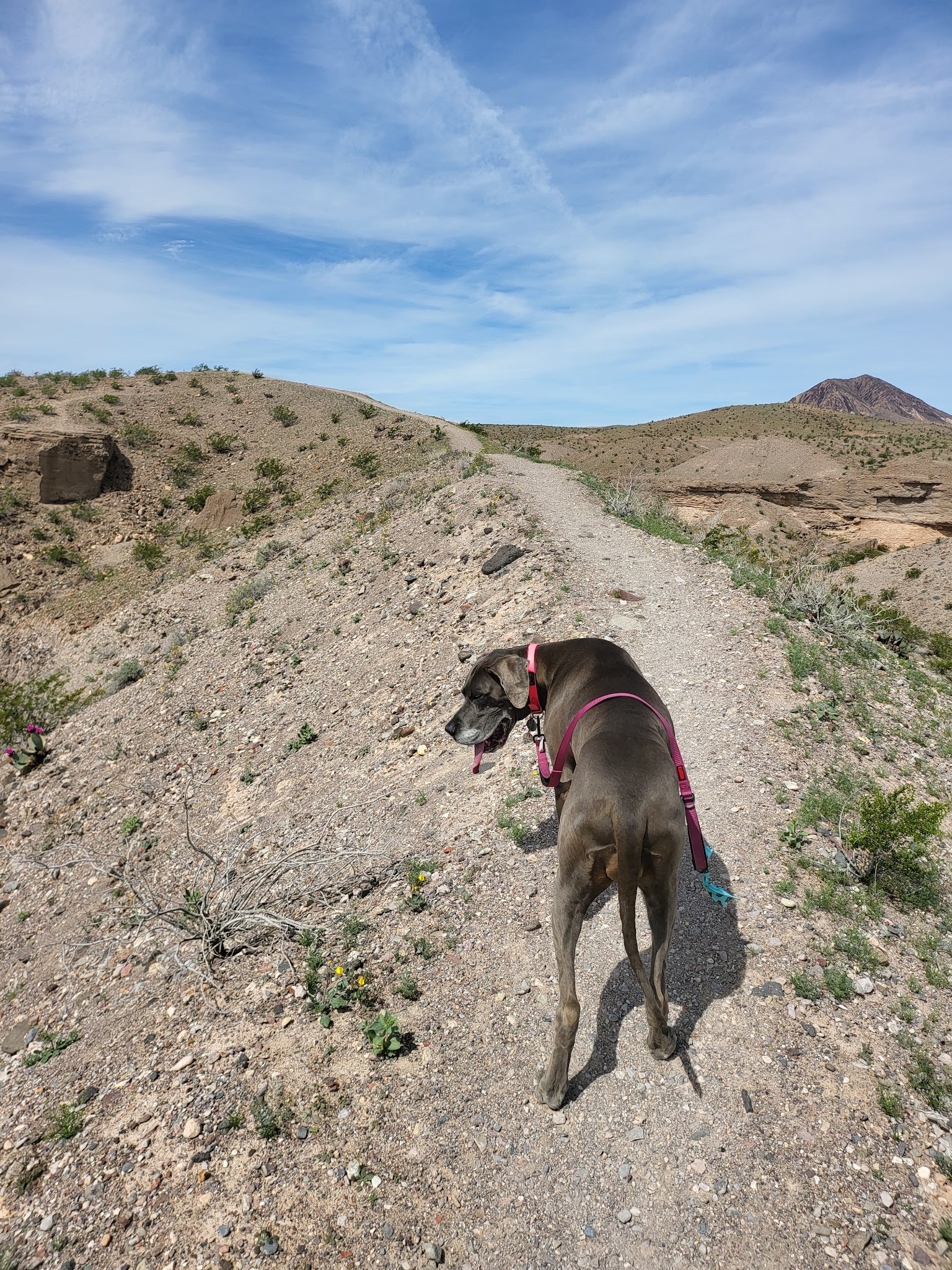 Callville Bay Rv Park (Lake Mead)