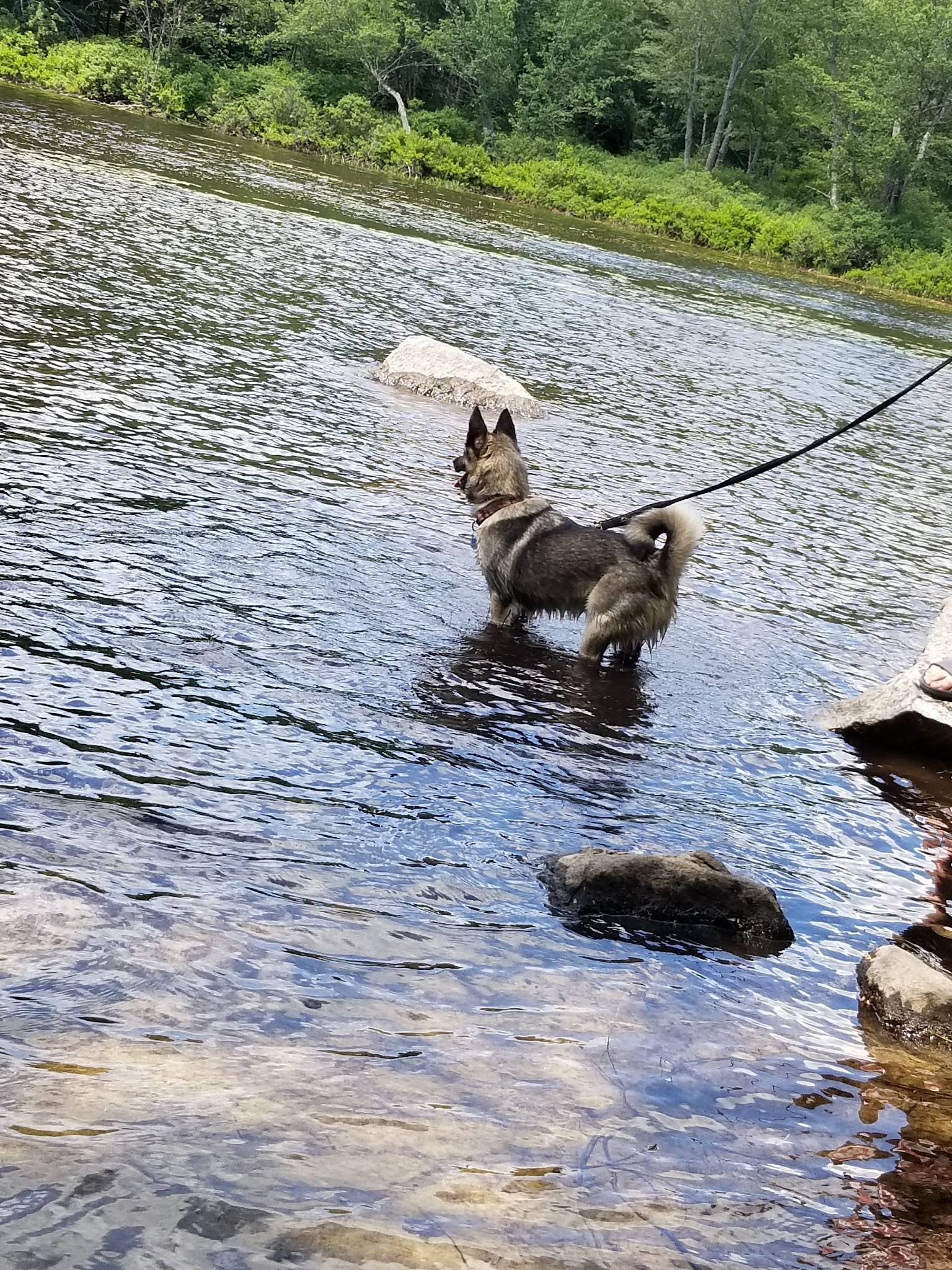Moffitt Beach Campground