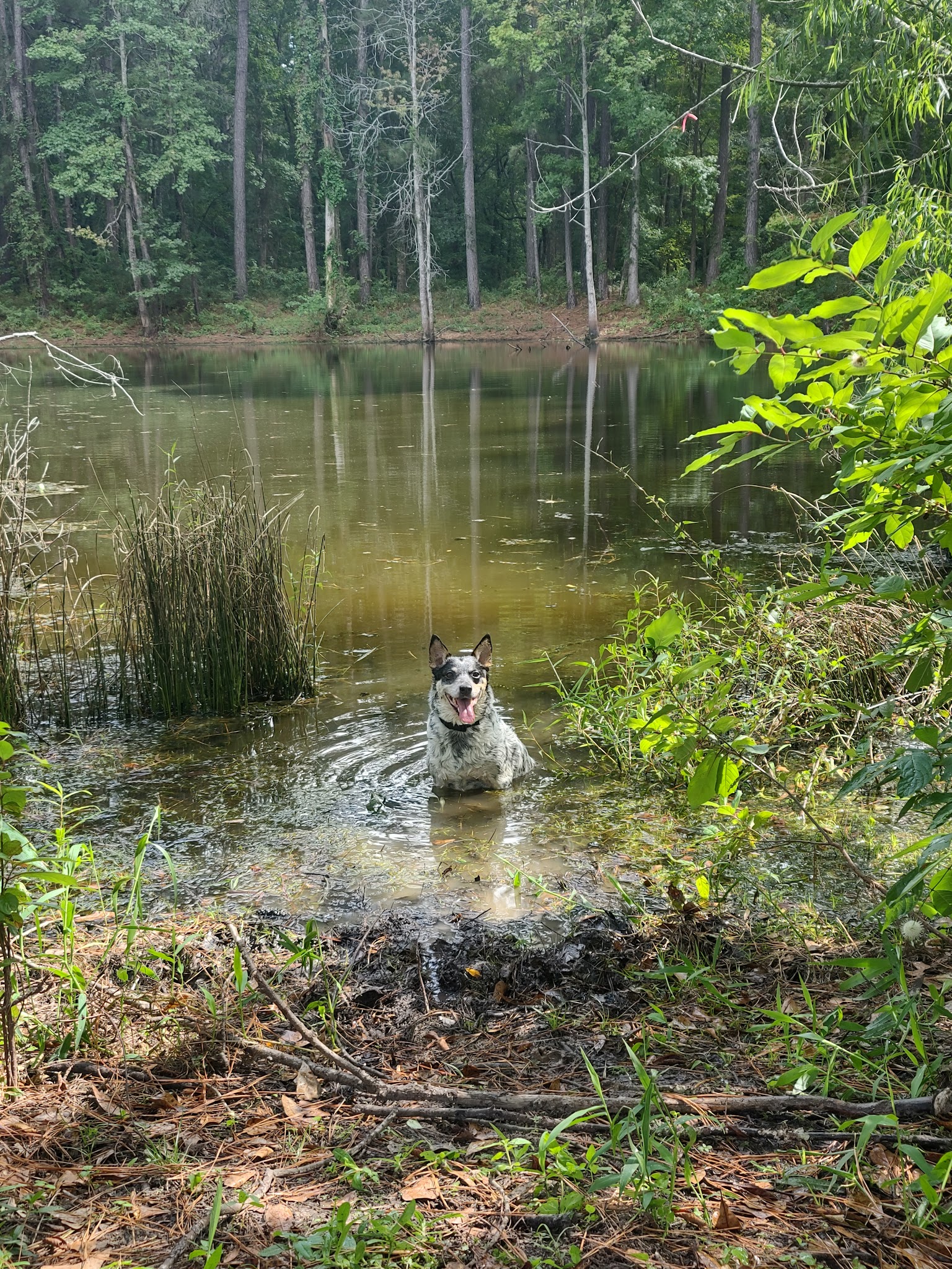 Kelly'S Pond Campground: (936) 344-6205