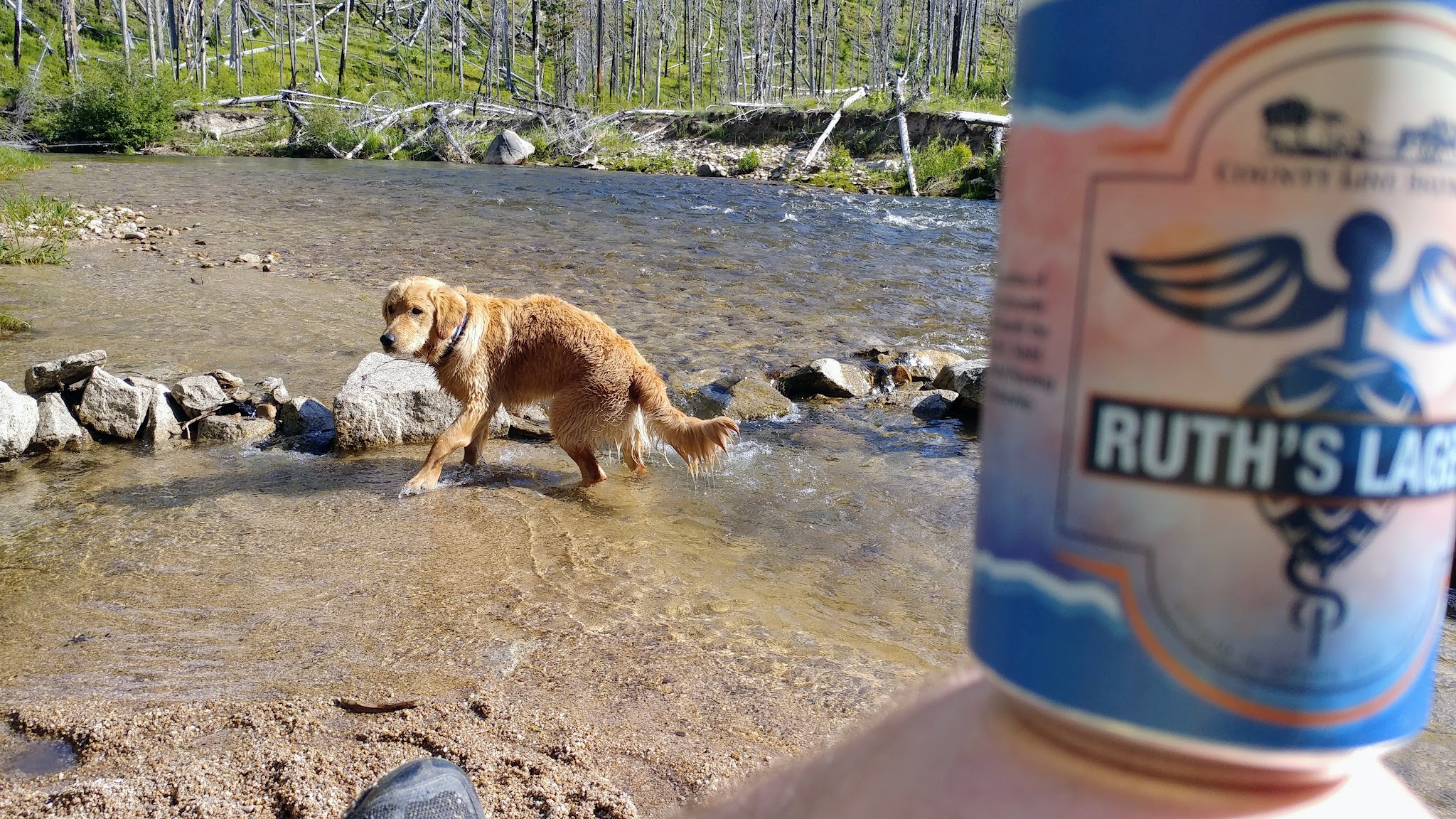 South Fork Salmon River Campground