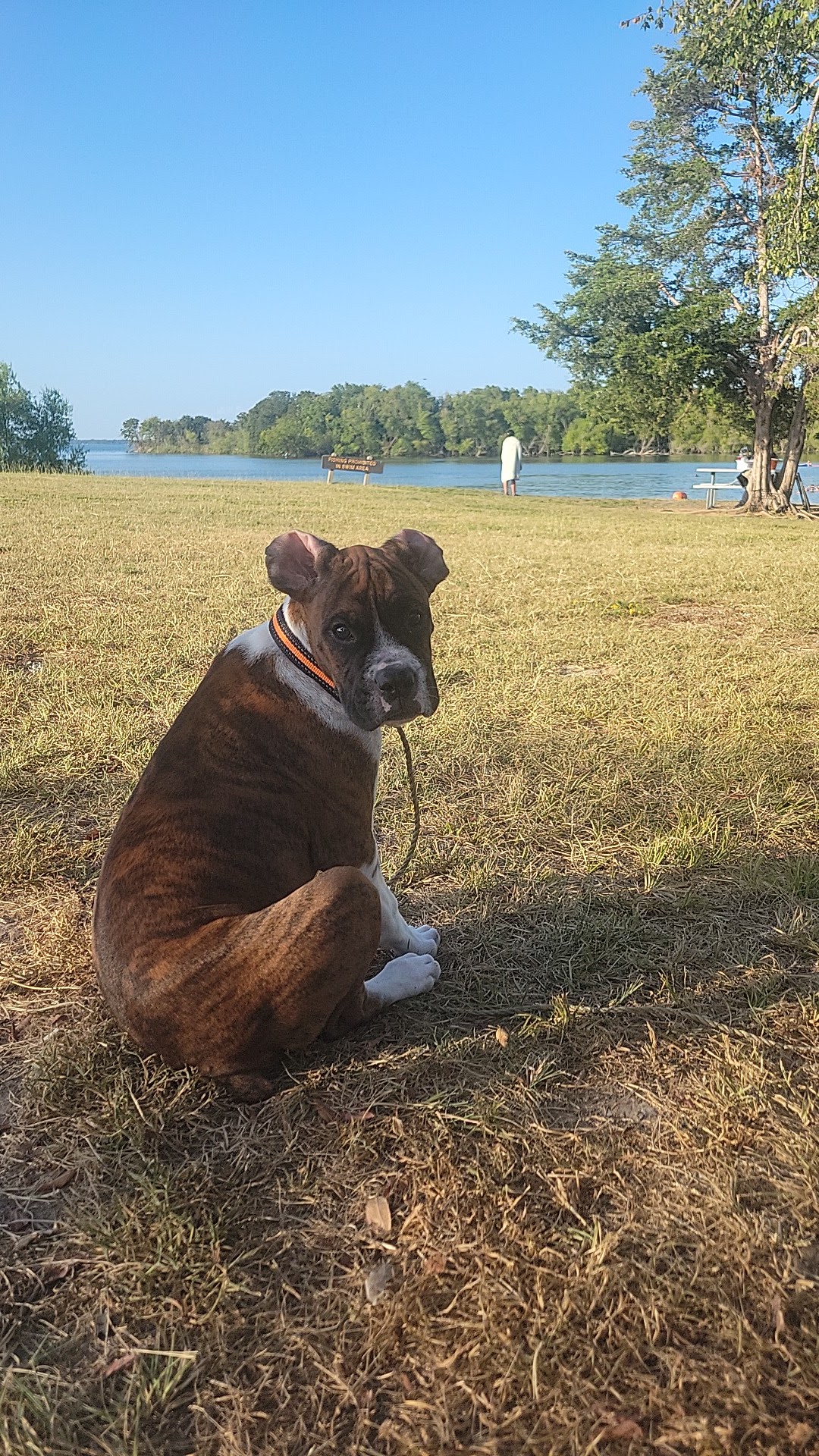 Lake Tawakoni State Park