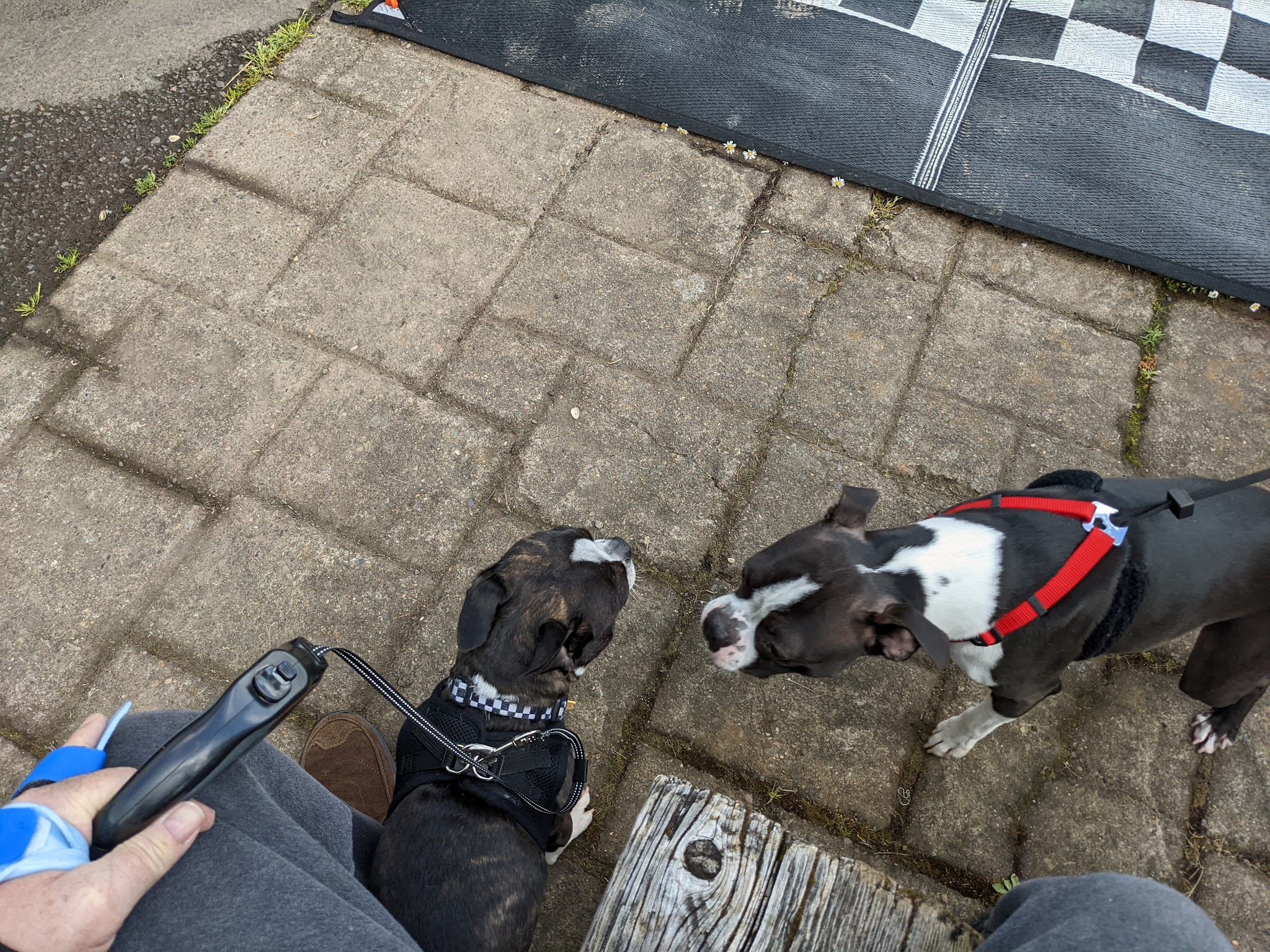 Champoeg State Heritage Area