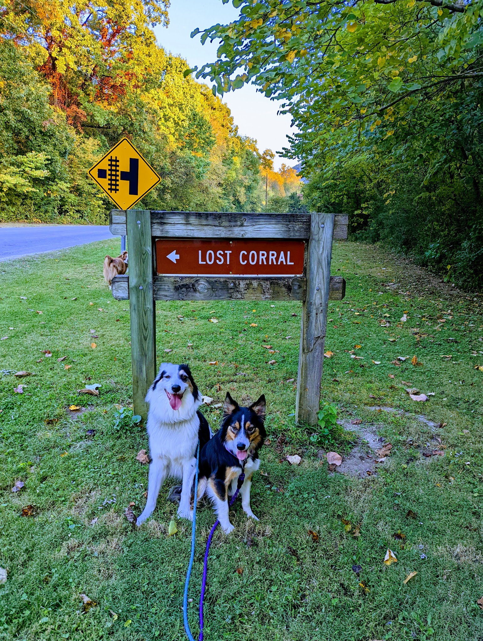 Lost Corral Horse Camp