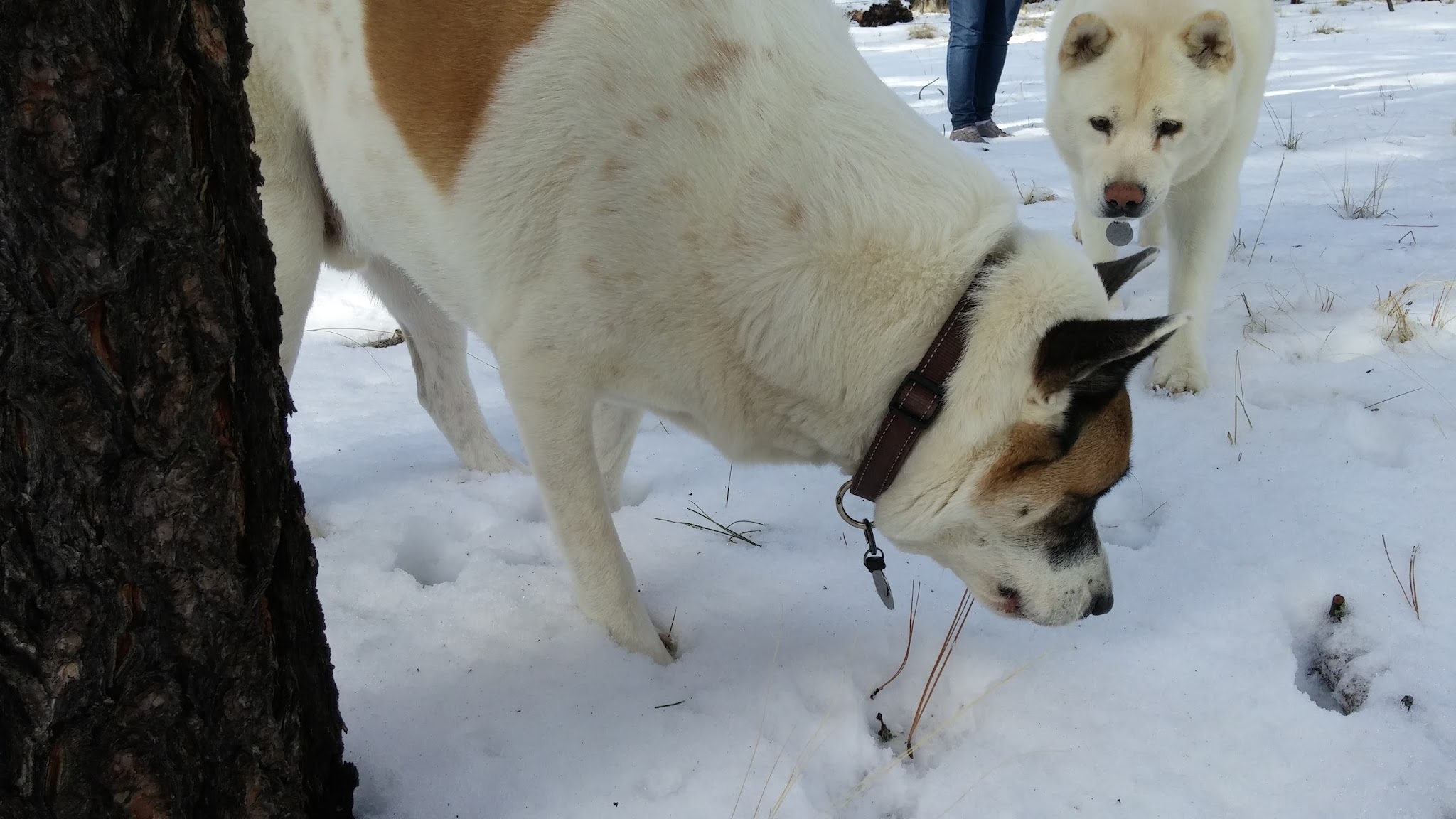 Clints Well Campground