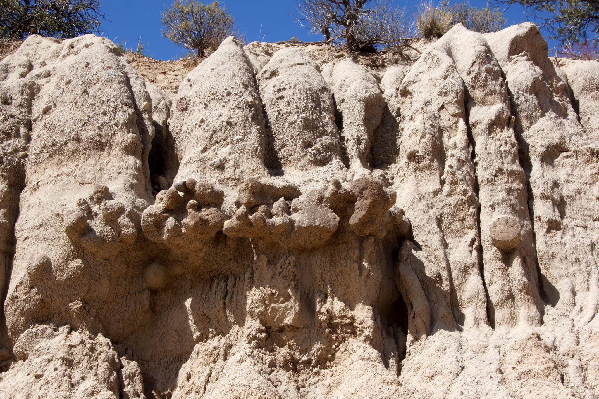 Dome Springs Campground