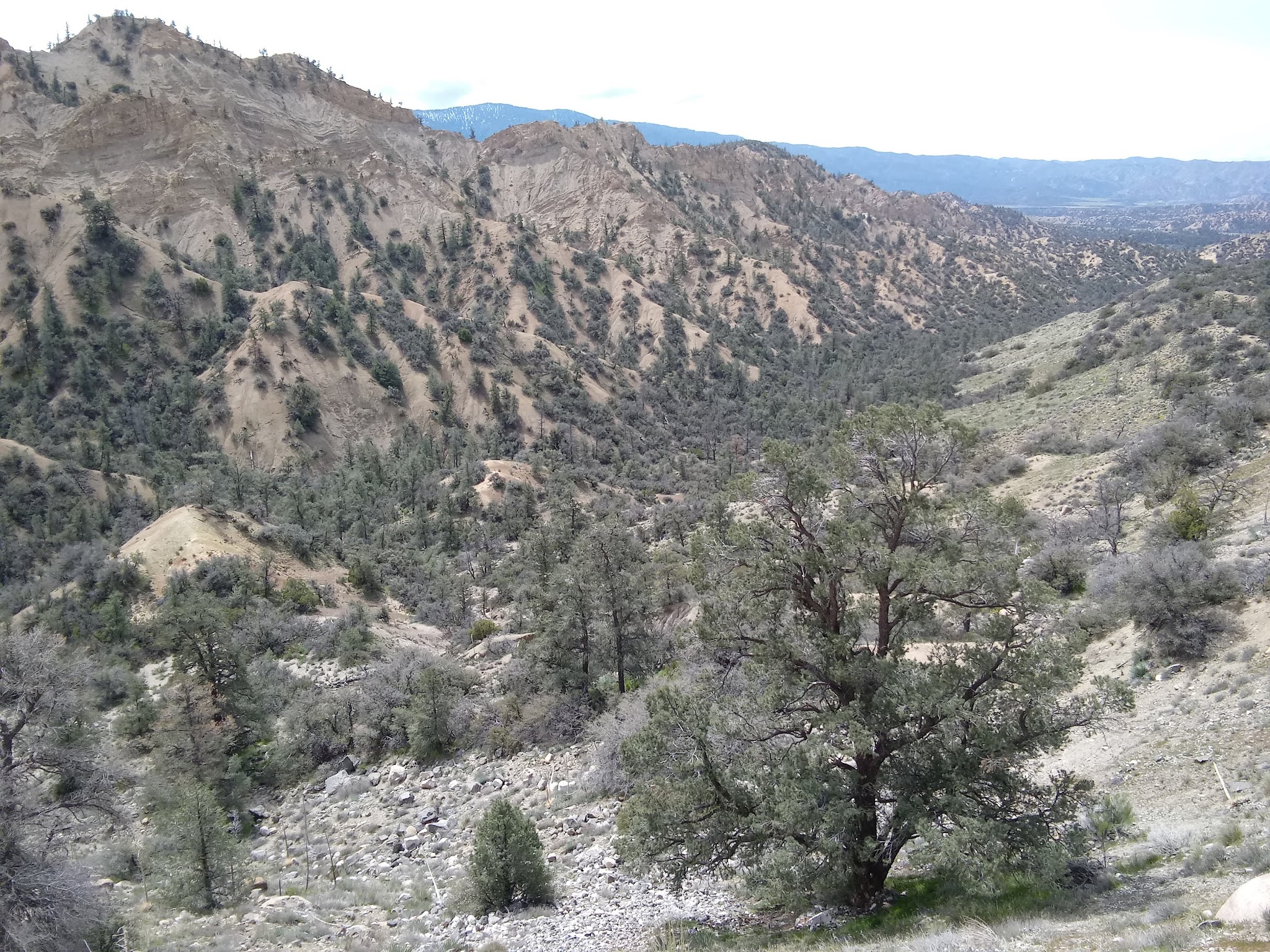 Dome Springs Campground