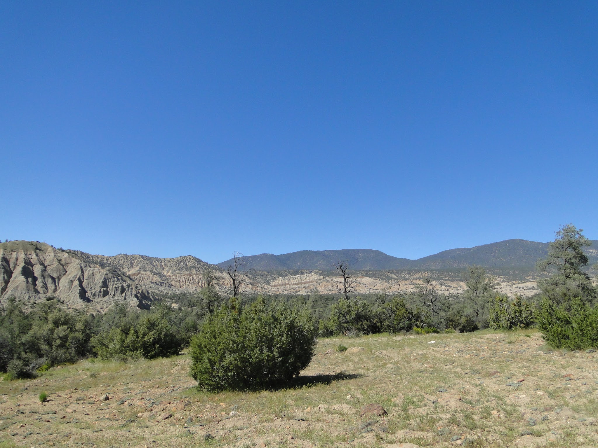 Dome Springs Campground