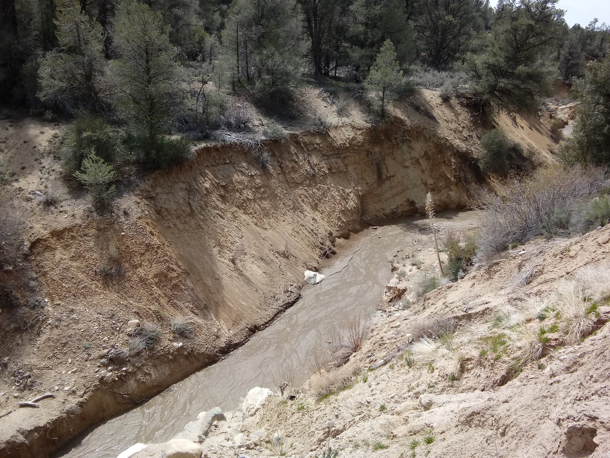 Dome Springs Campground