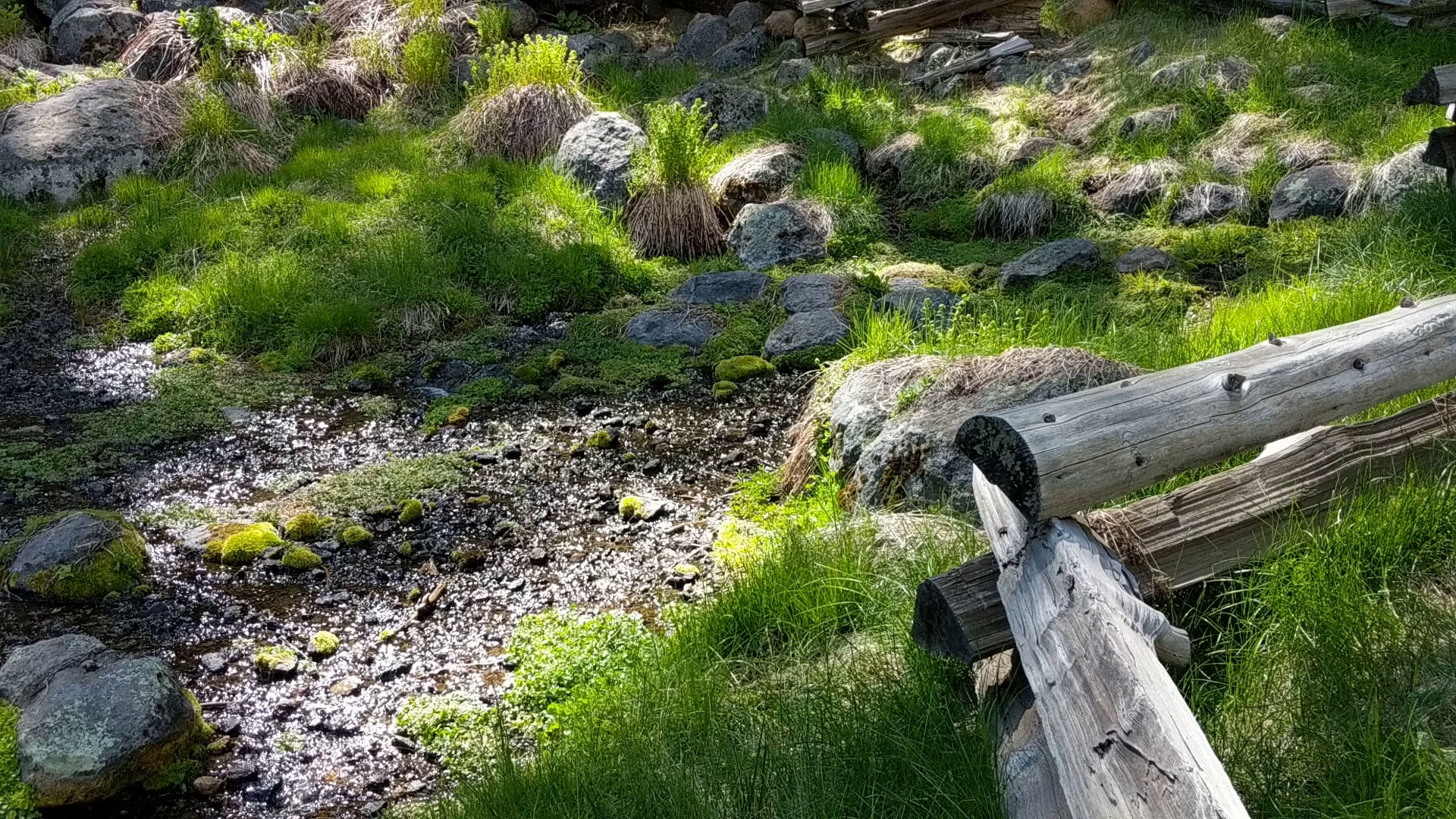 Domingo Springs Campground