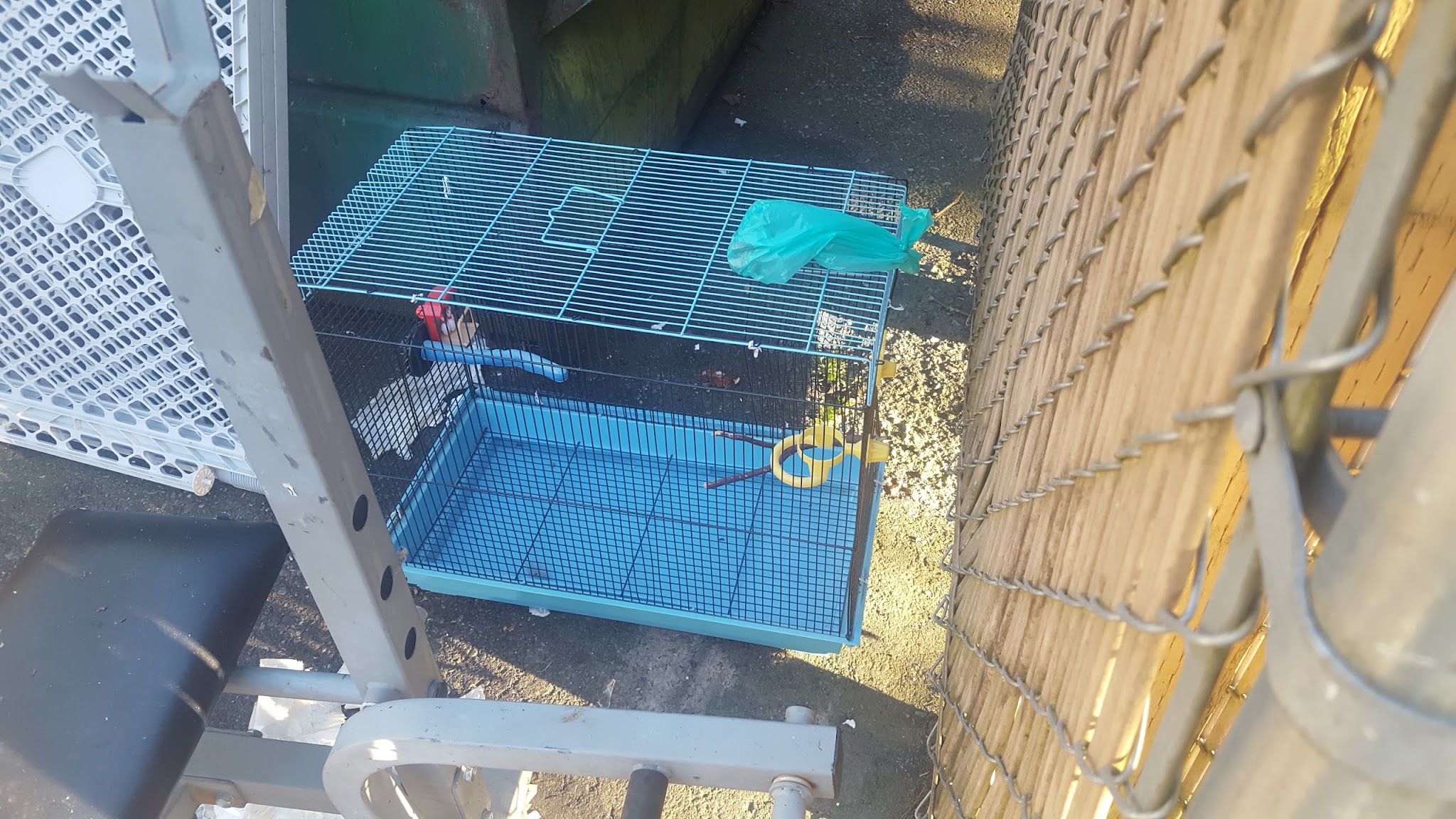 Domke Lake, Stuart Camp, Hatchery Campgrounds