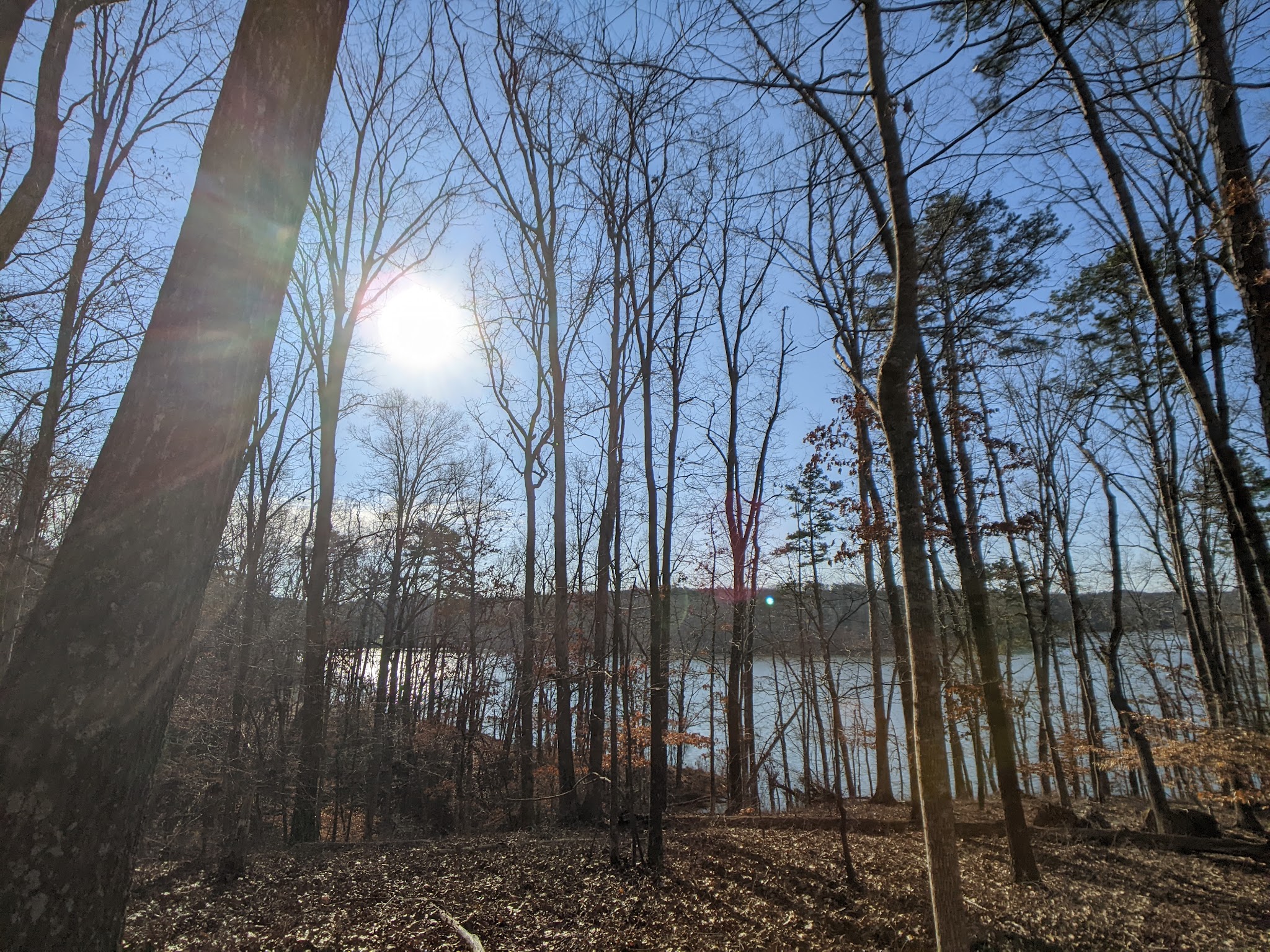 Don Carter State Park