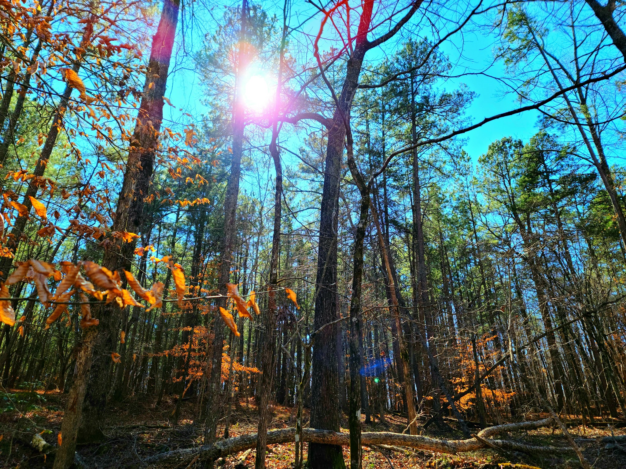 Don Carter State Park
