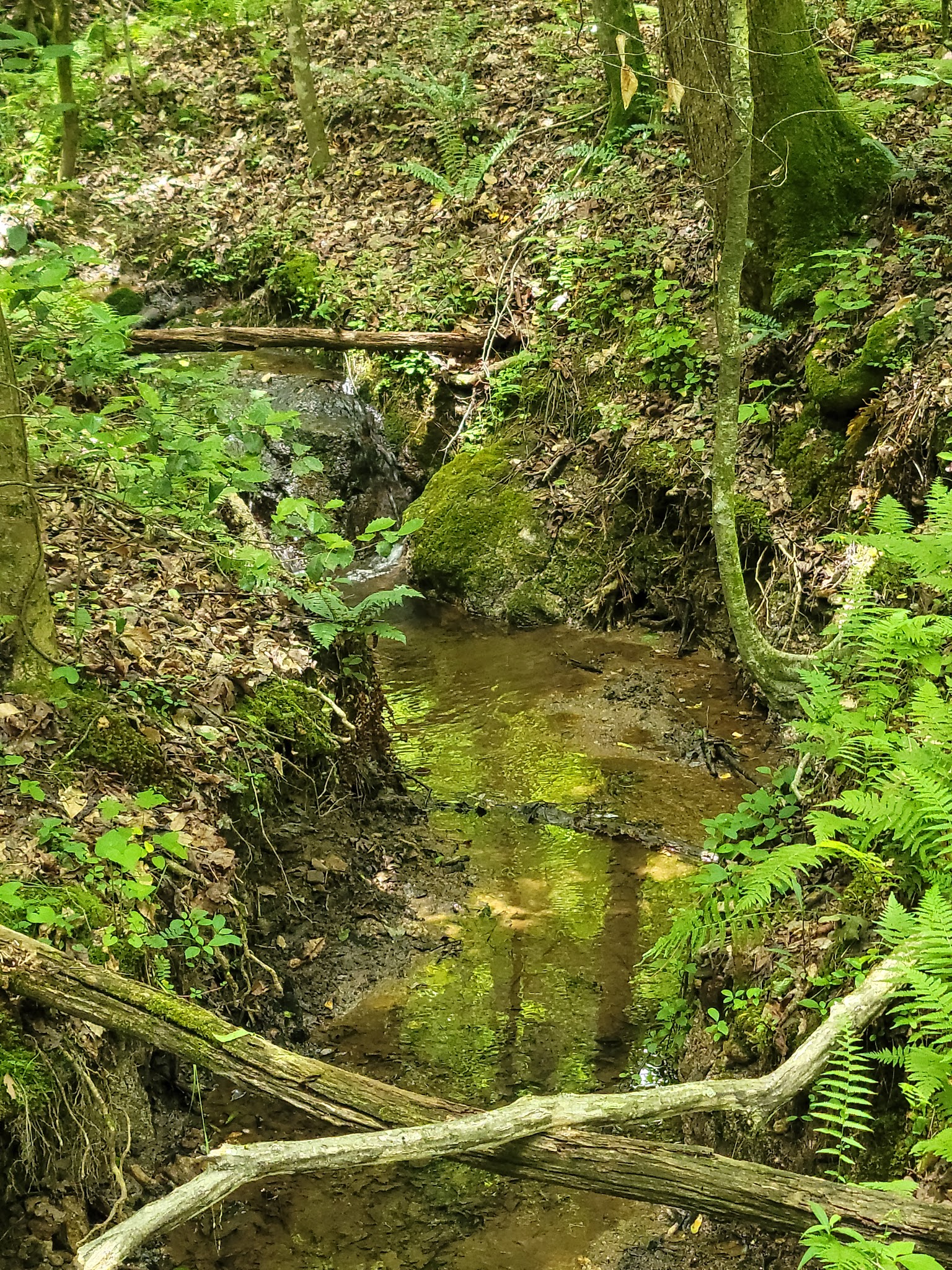 Don Carter State Park