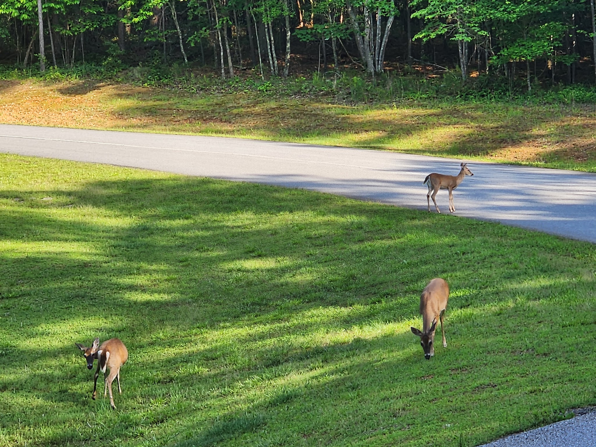 Don Carter State Park