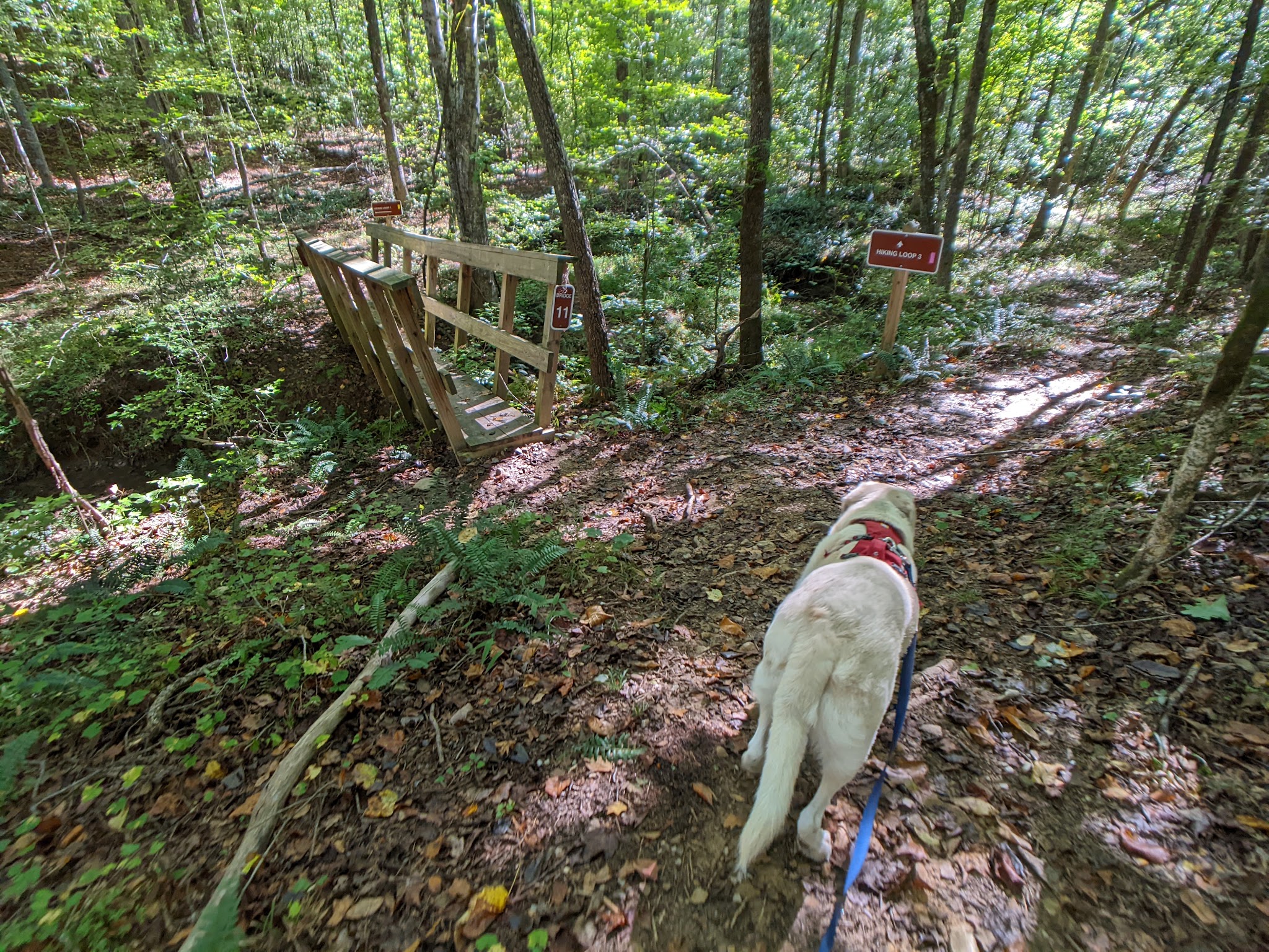 Don Carter State Park