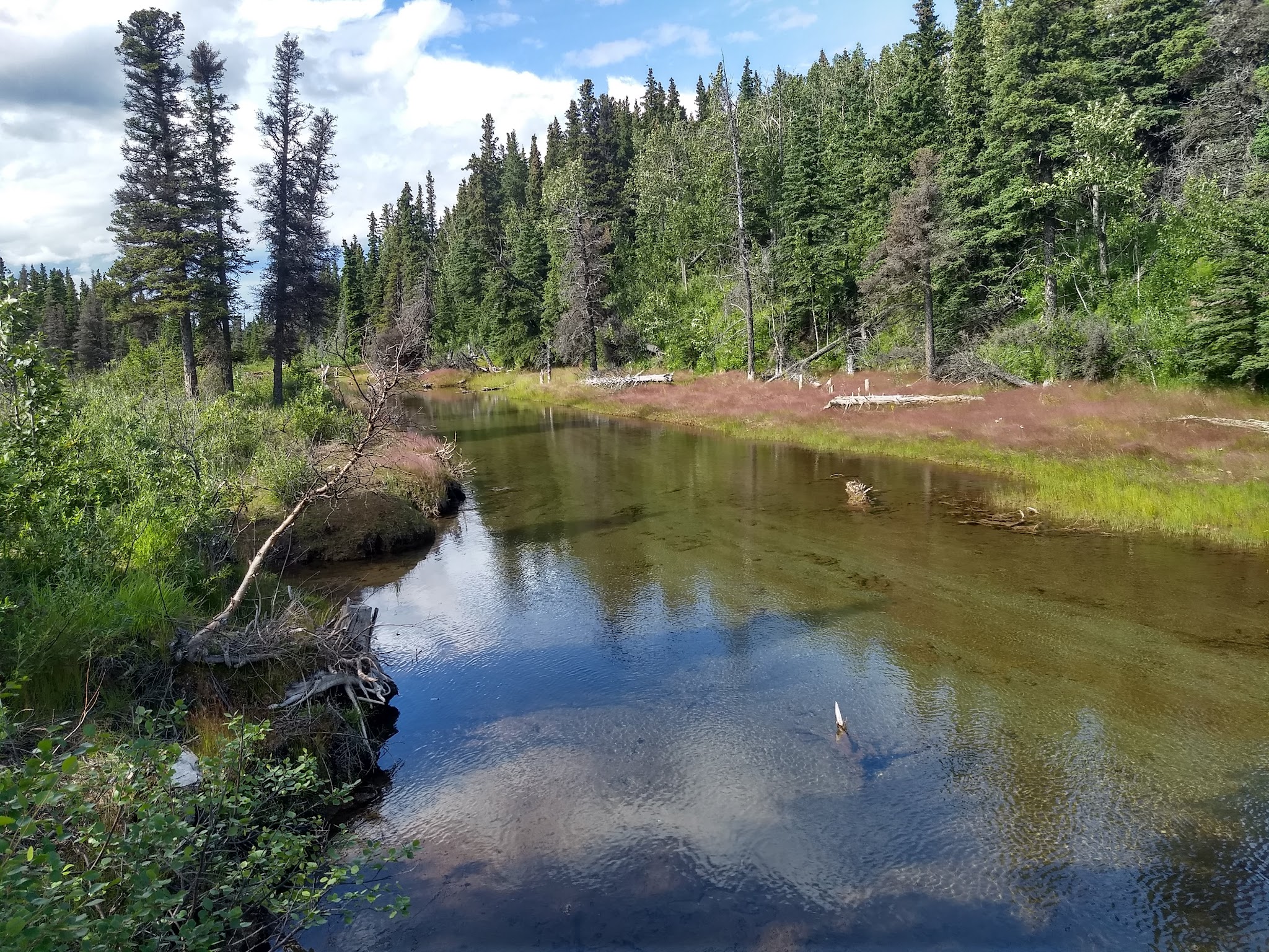 Donnelly Creek State Recreation Site
