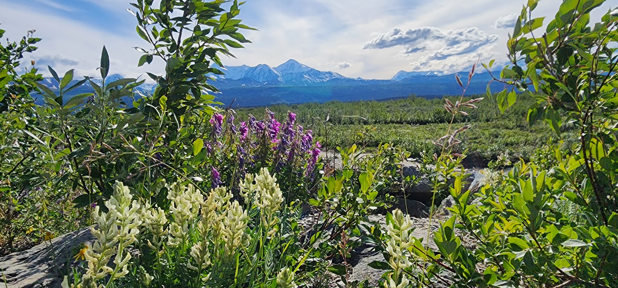 Donnelly Creek State Recreation Site