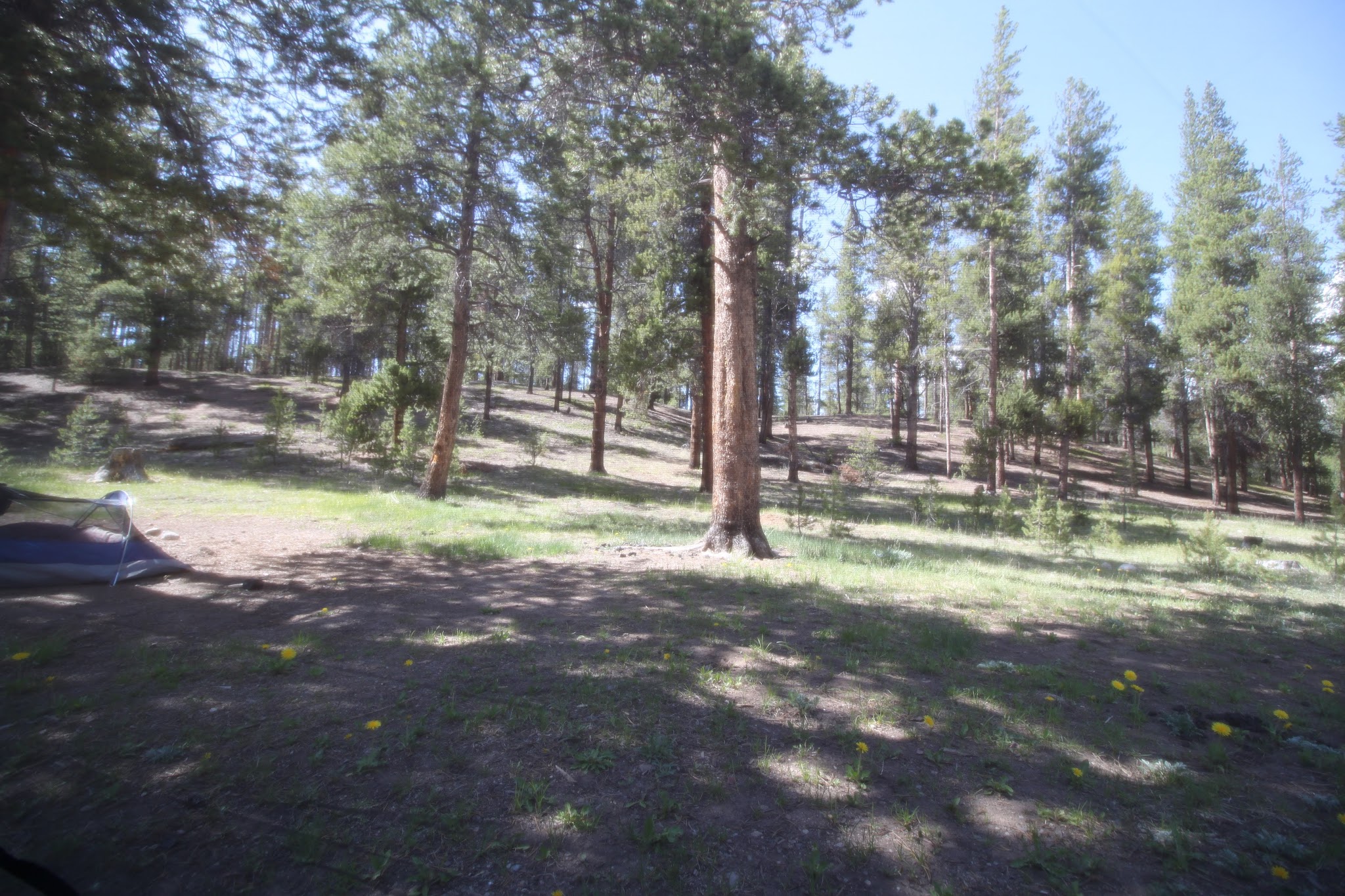 Dorchester Campground - Gunnison Rd