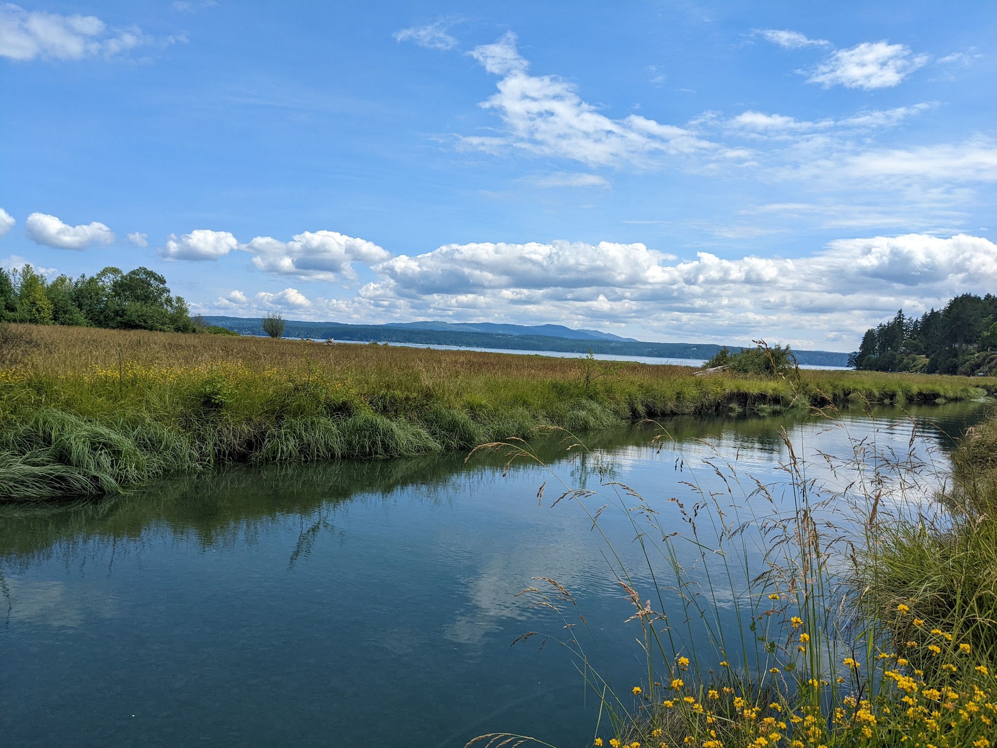 Dosewallips State Park