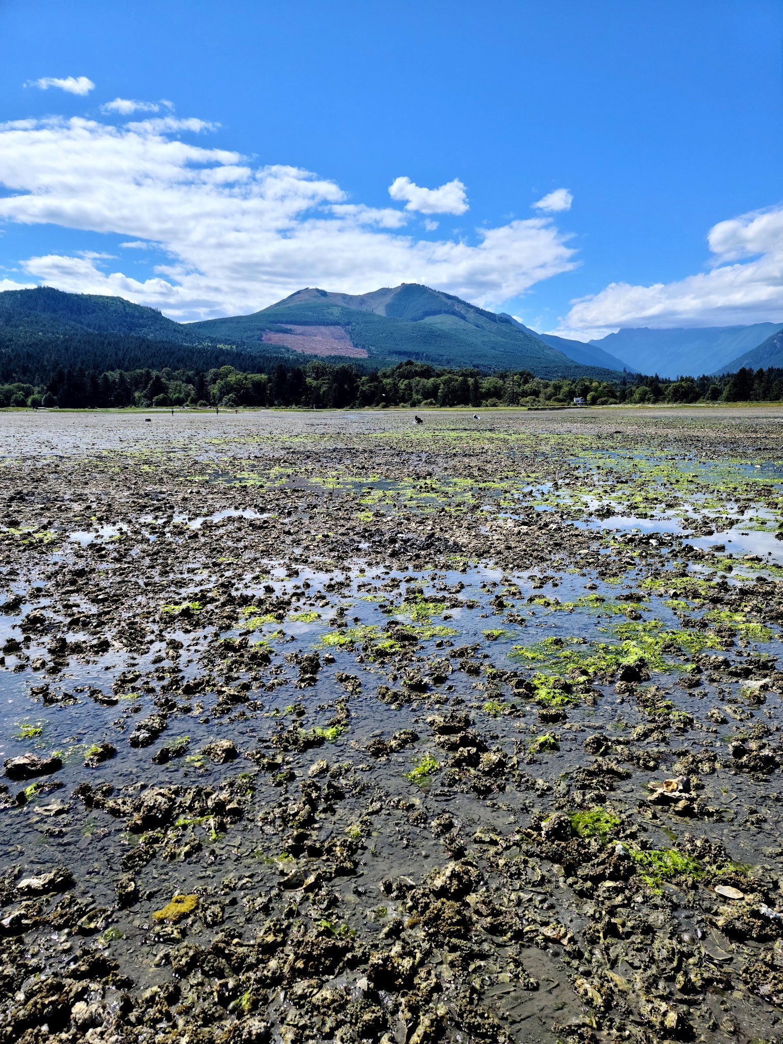 Dosewallips State Park