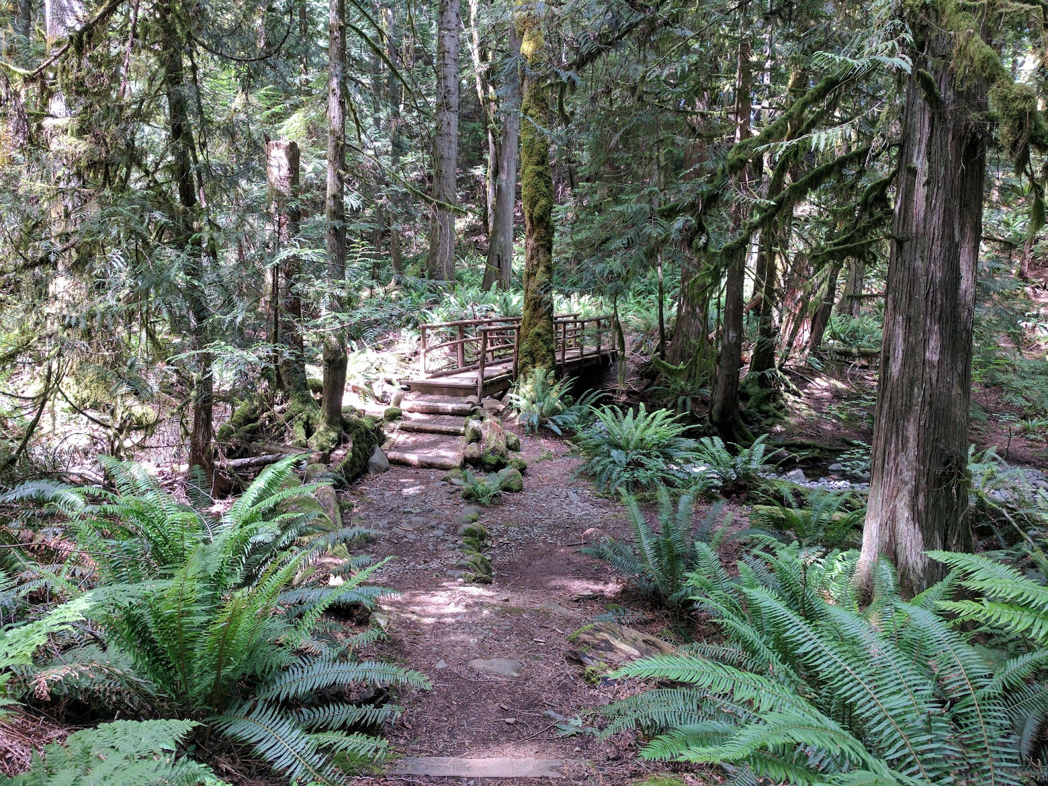 Dosewallips State Park