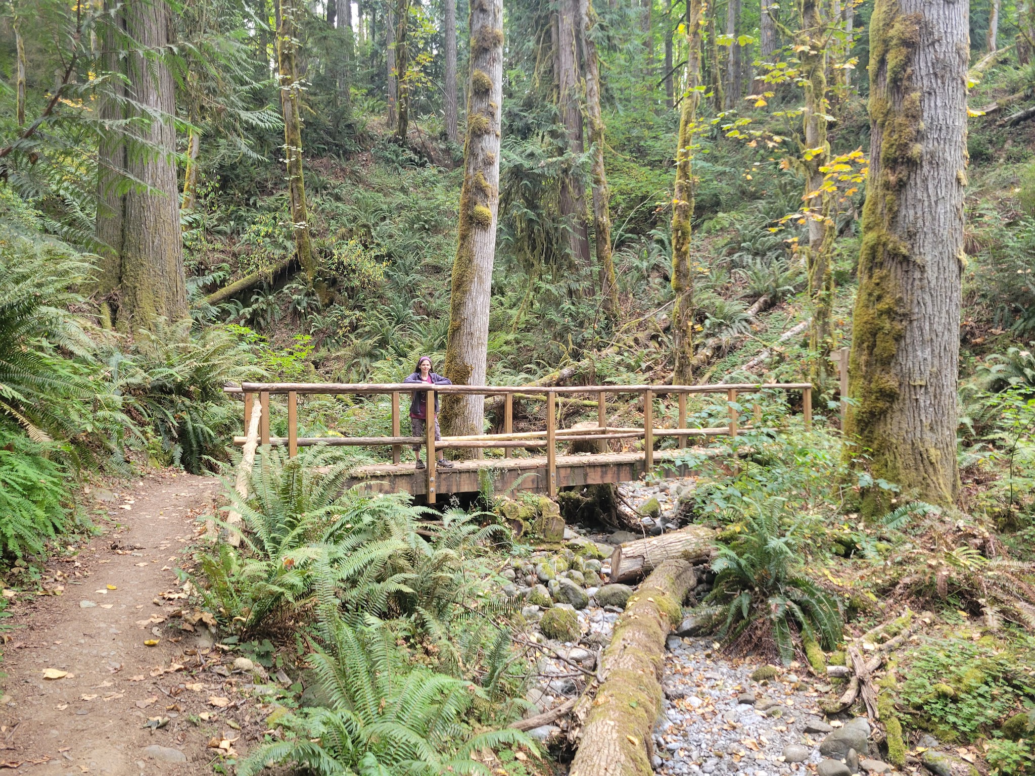 Dosewallips State Park