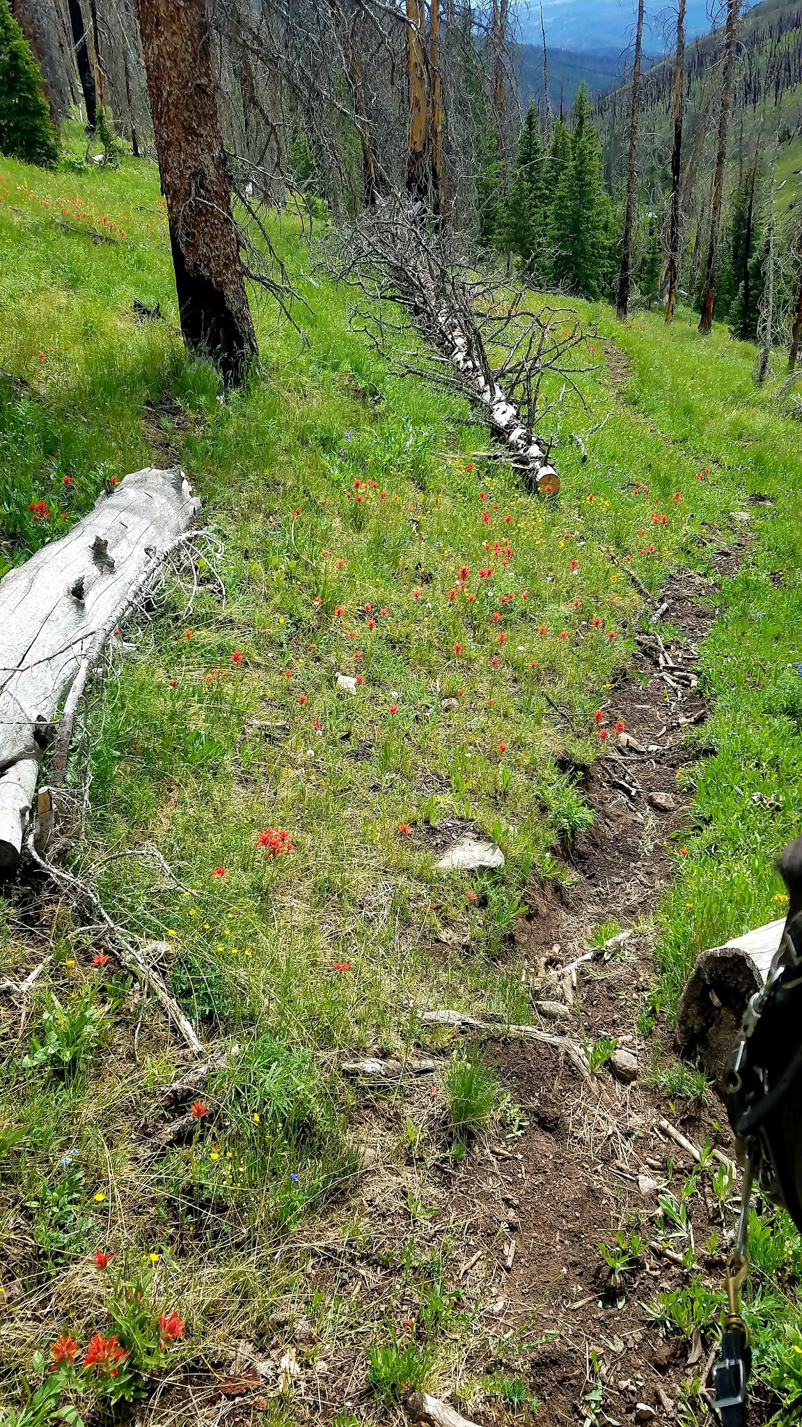 Double Cabin Campground