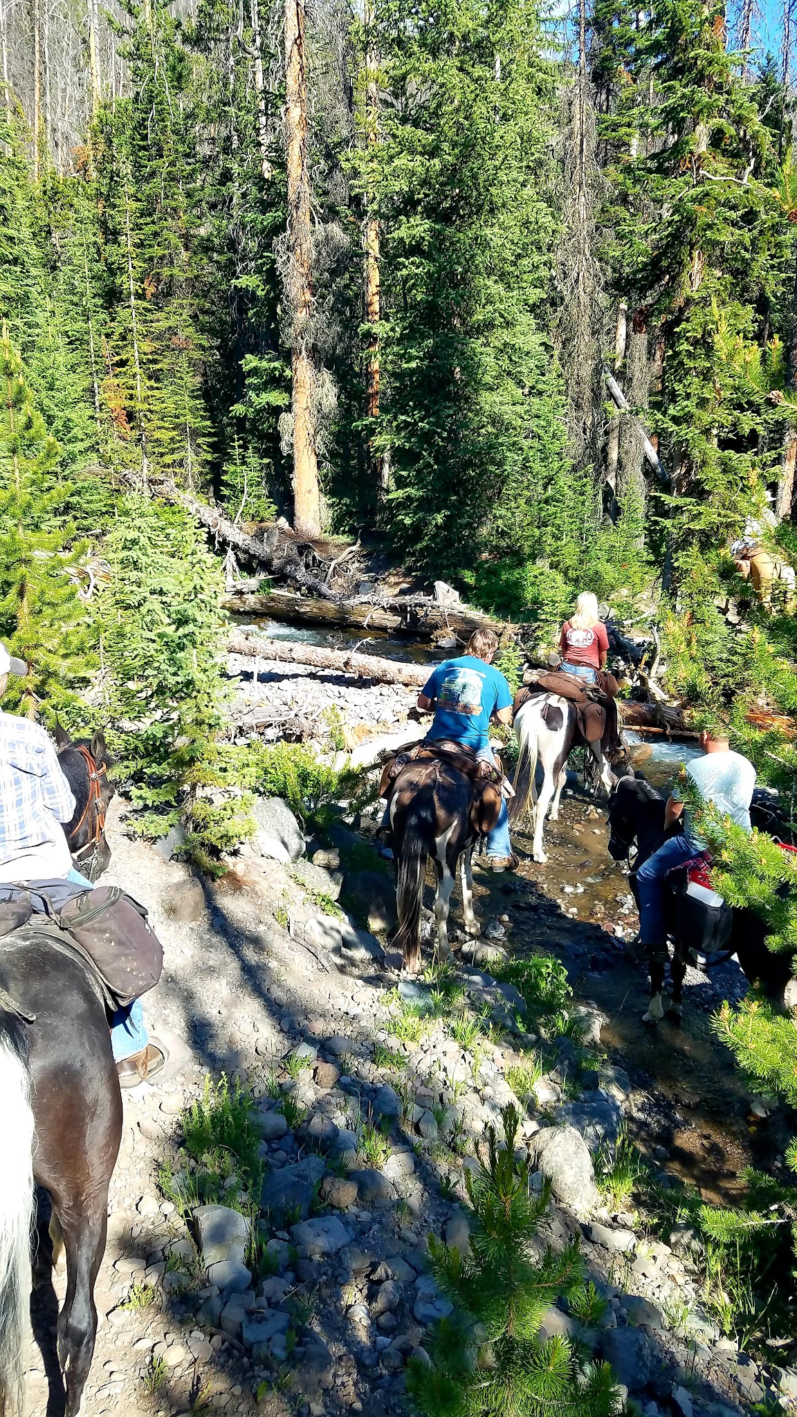 Double Cabin Campground