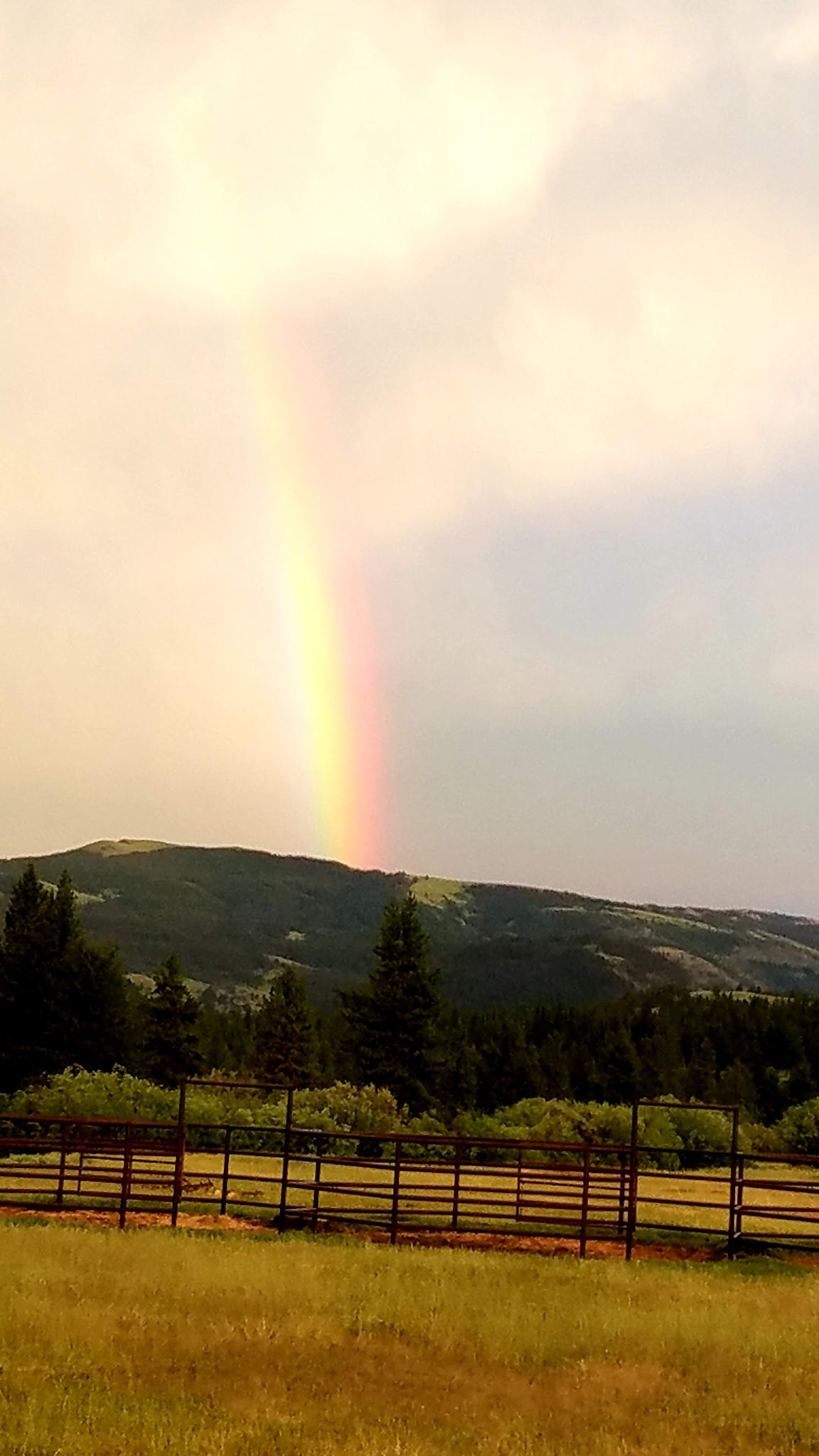 Double Cabin Campground